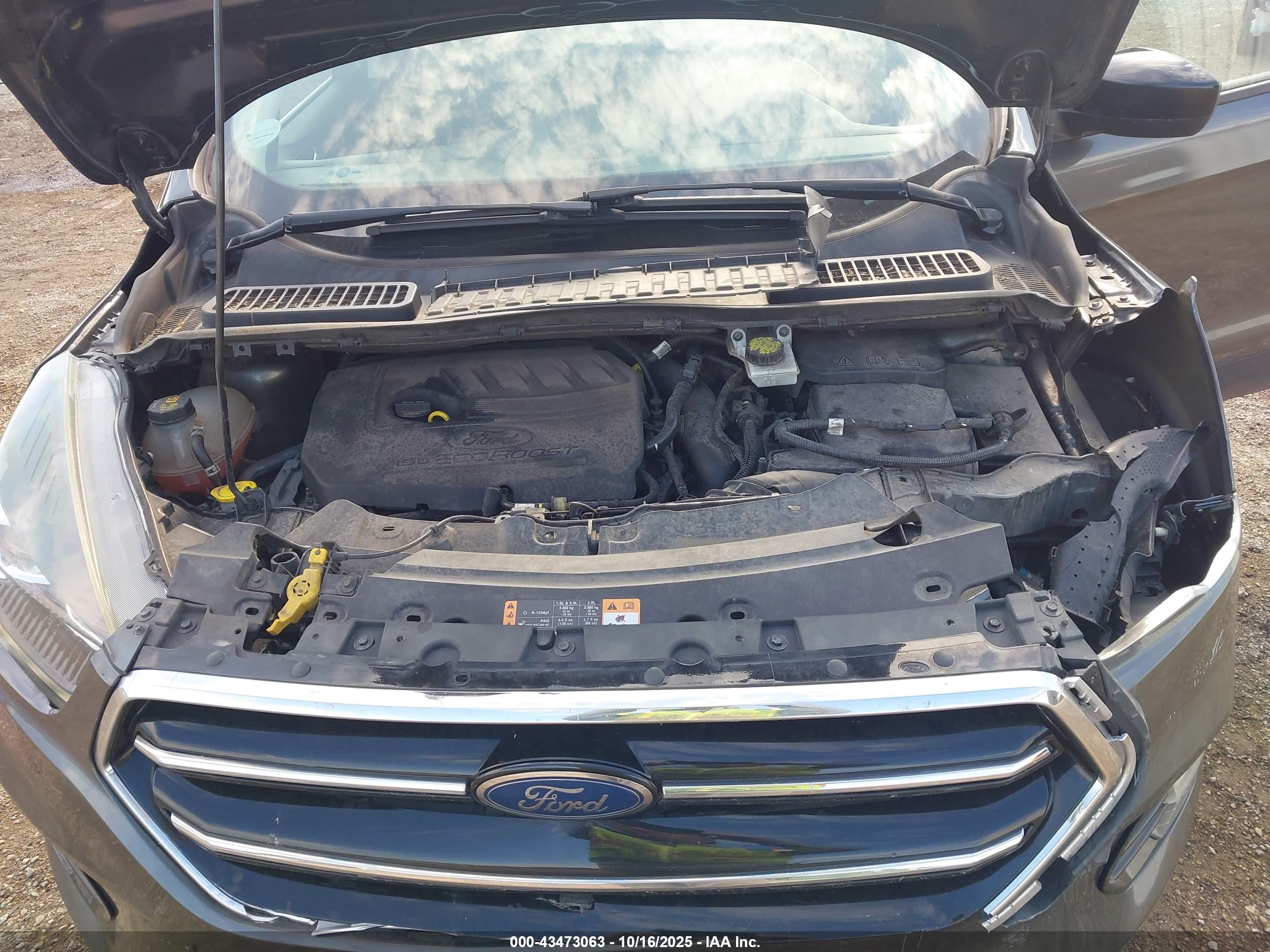 FORD ESCAPE image 10