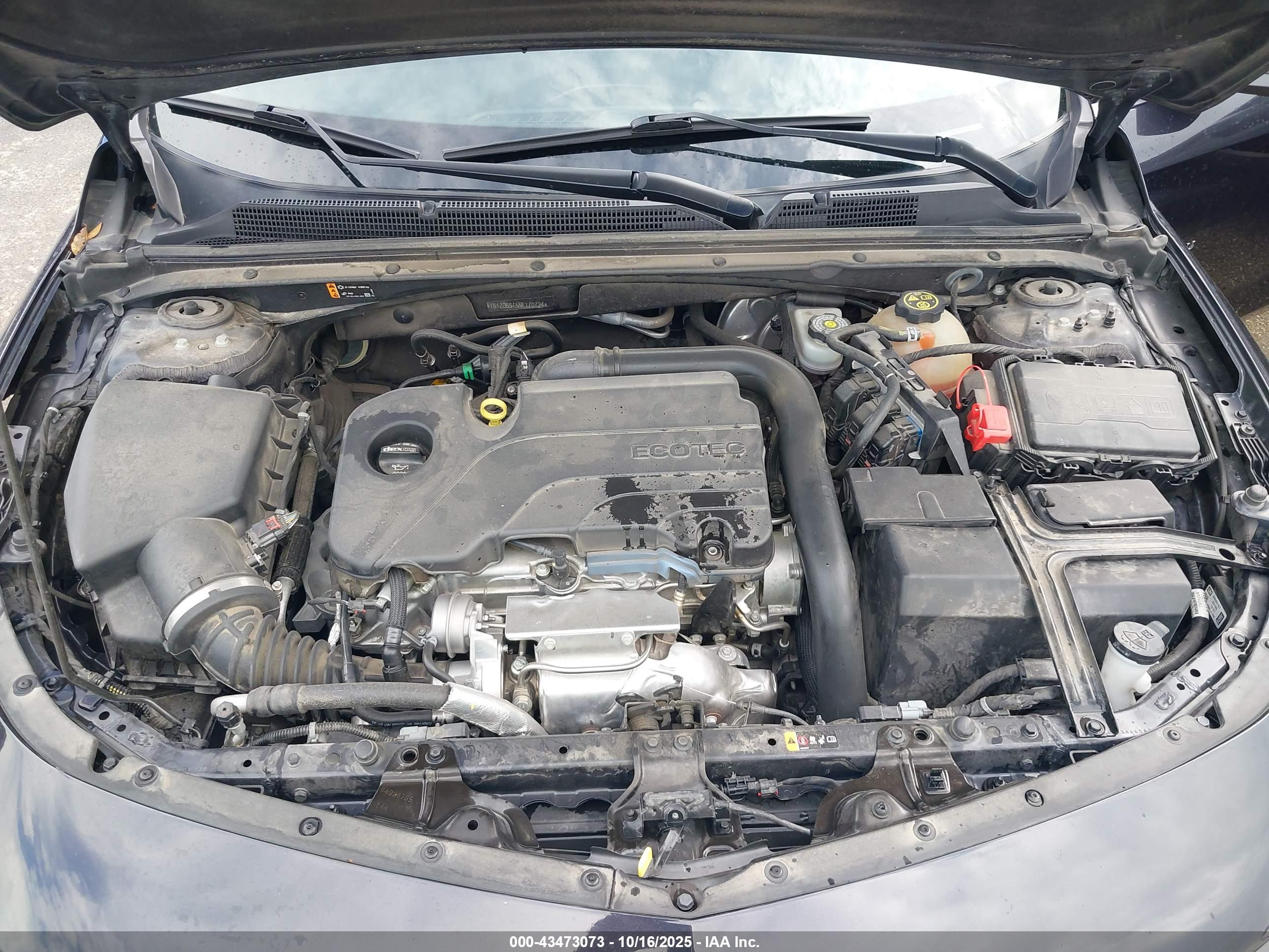 CHEVROLET MALIBU image 10