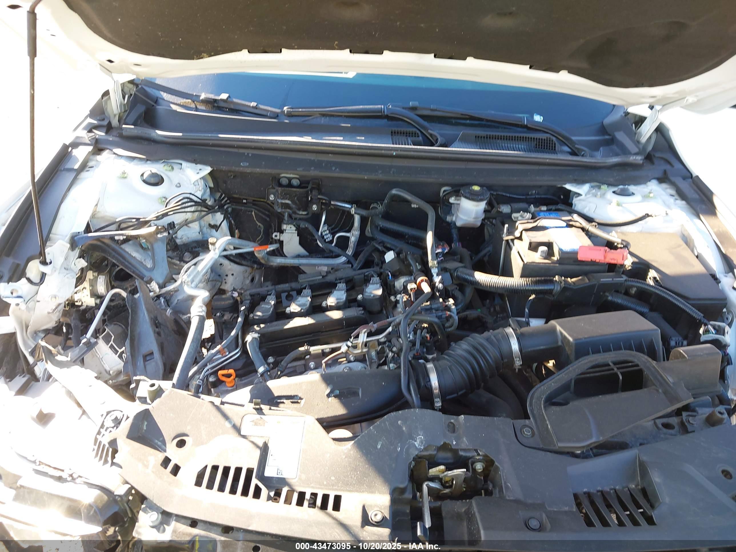 HONDA ACCORD image 10