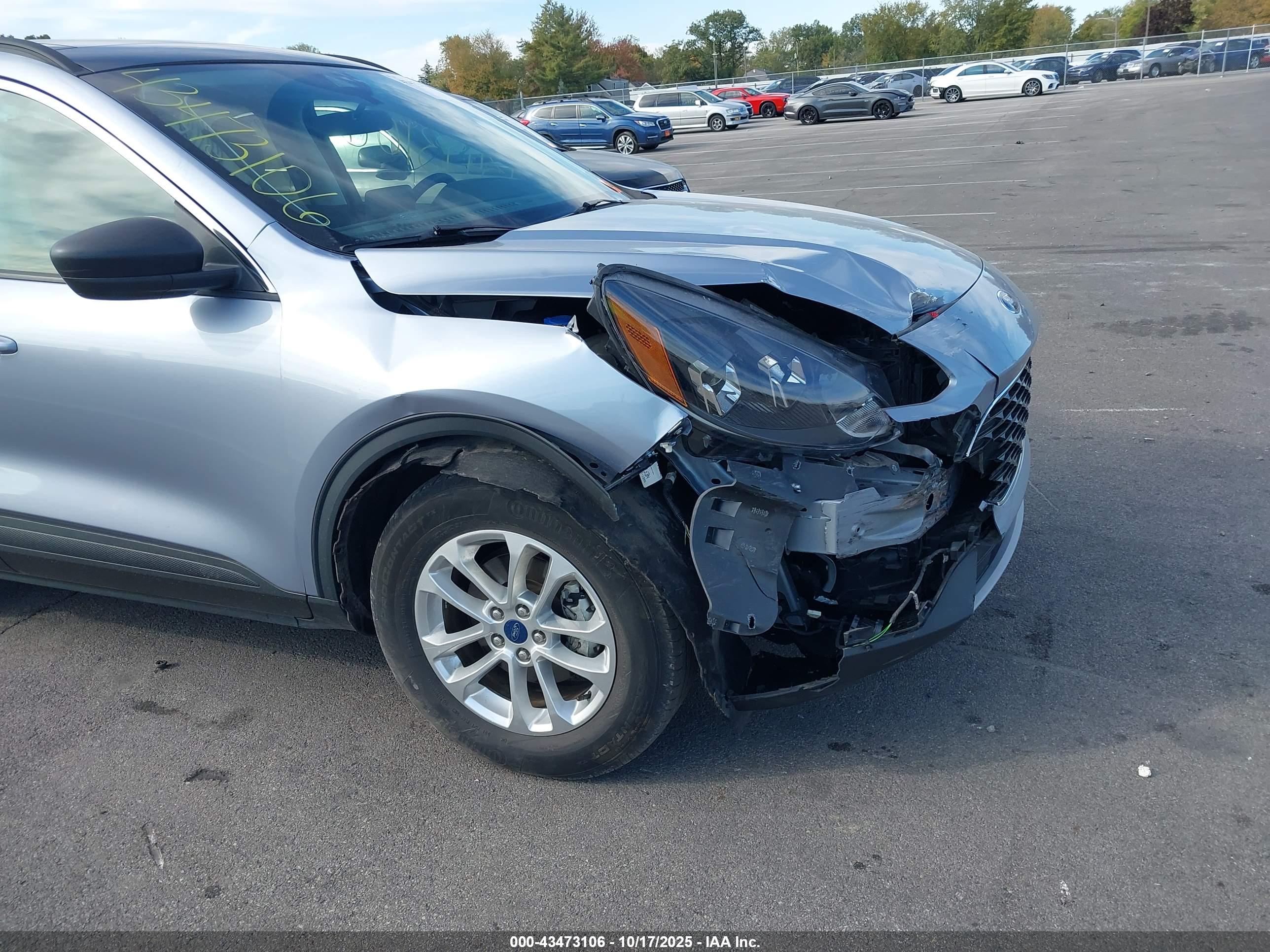 FORD ESCAPE image 6