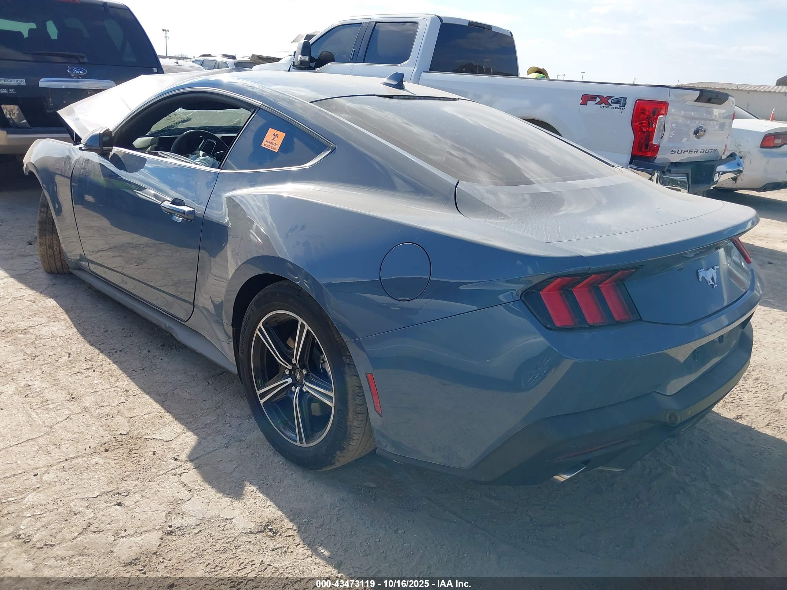 FORD MUSTANG image 3