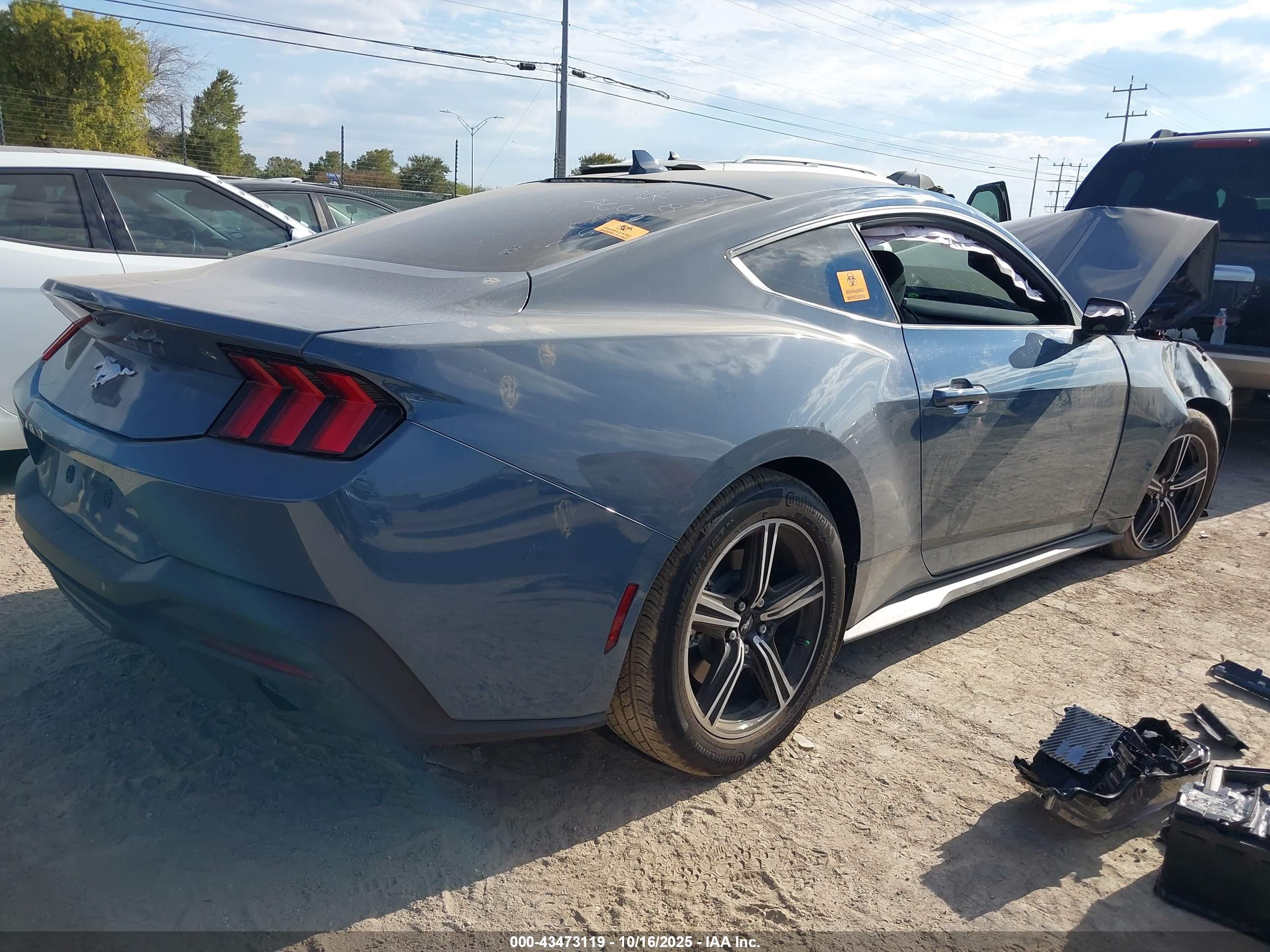 FORD MUSTANG image 4