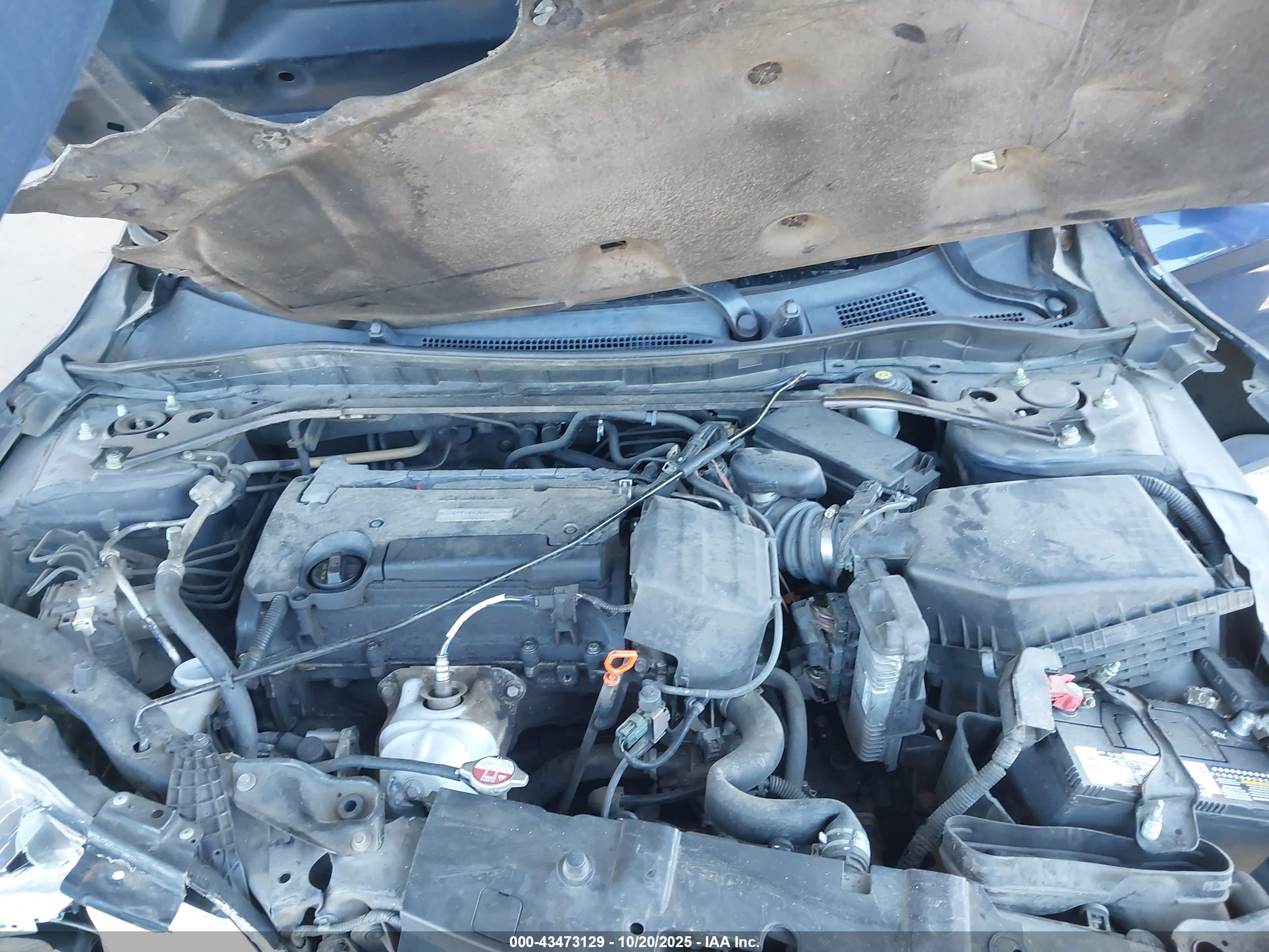 HONDA ACCORD image 10