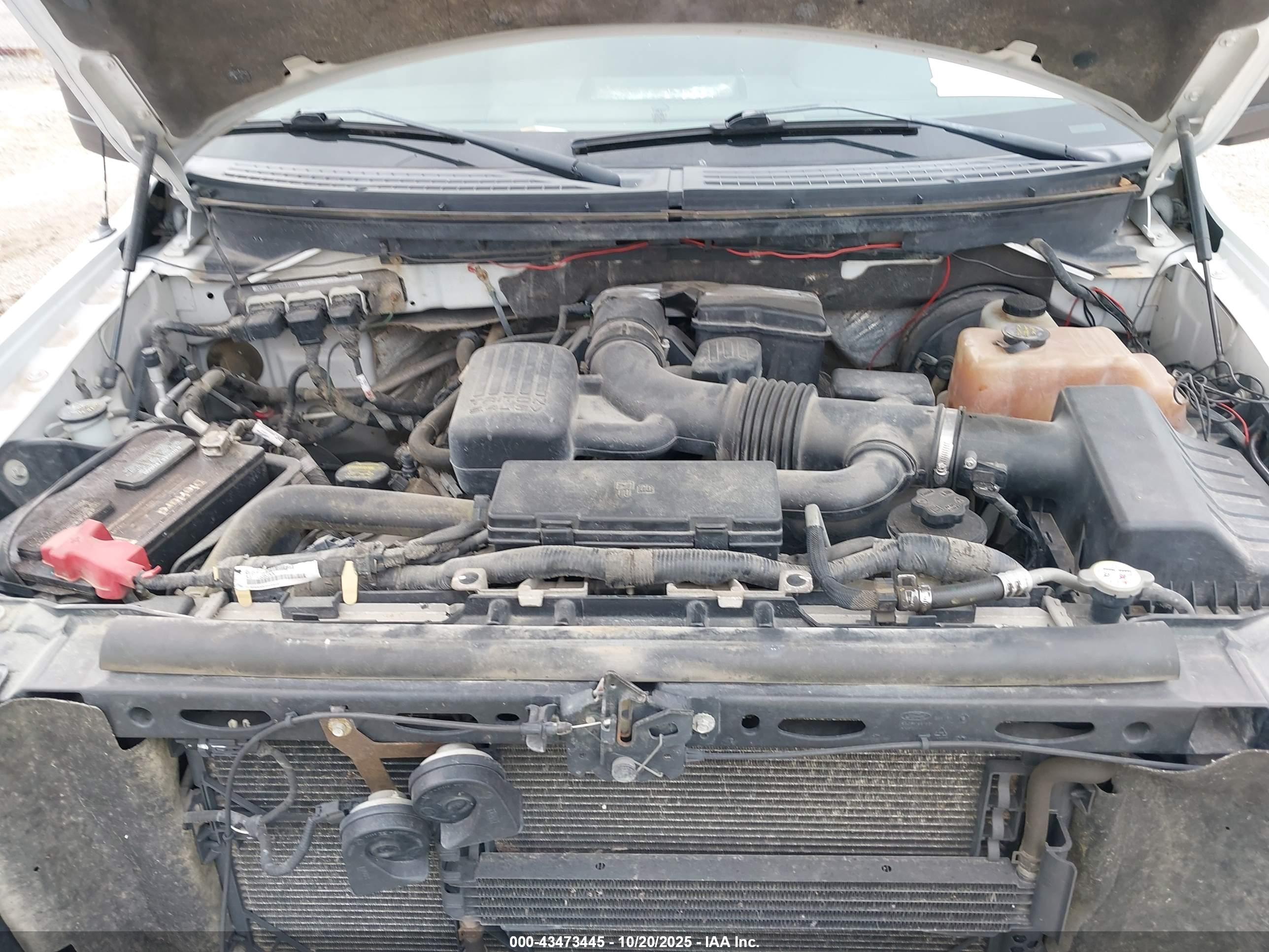 FORD F-150 image 6