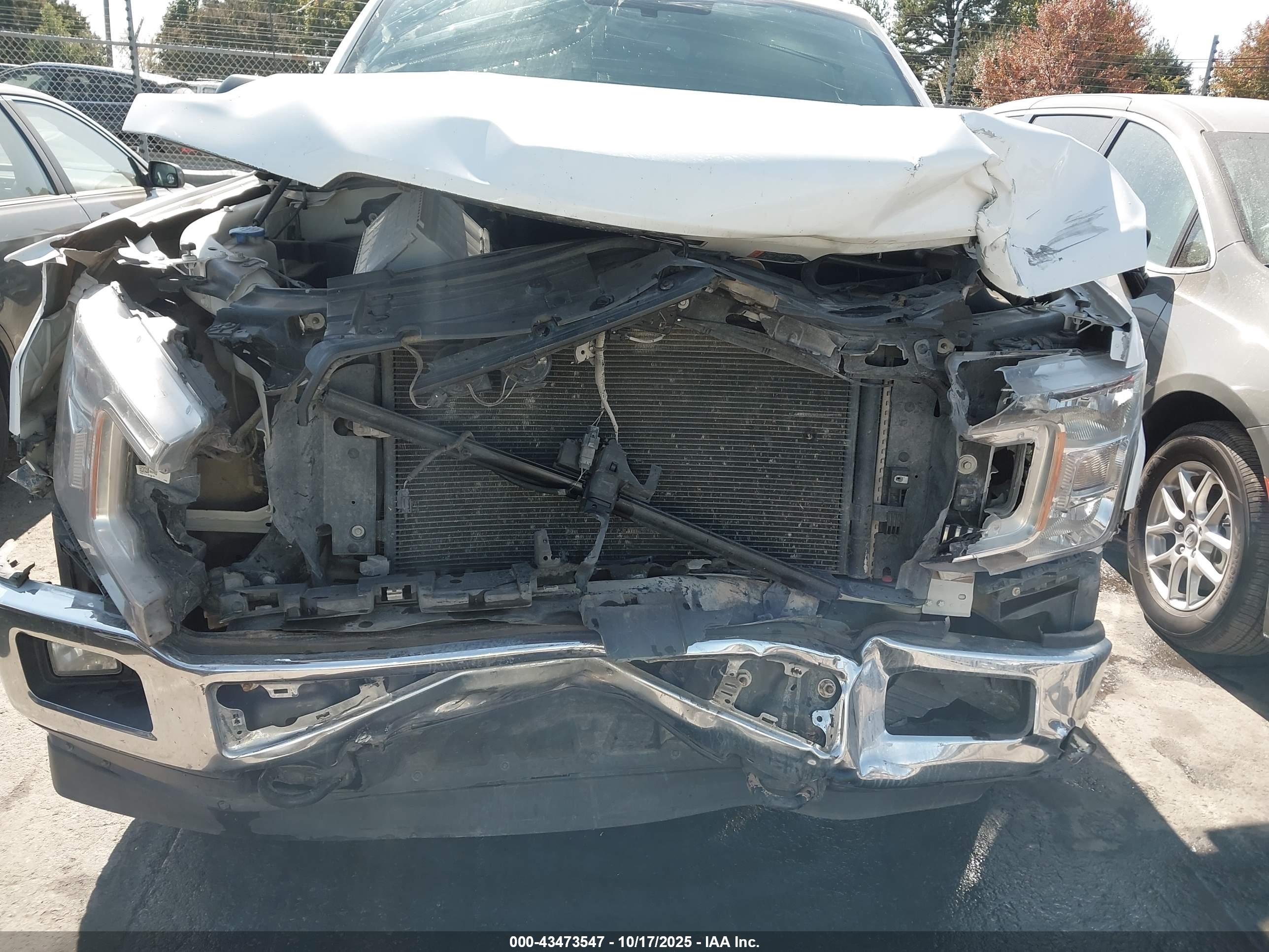 FORD F-150 image 6