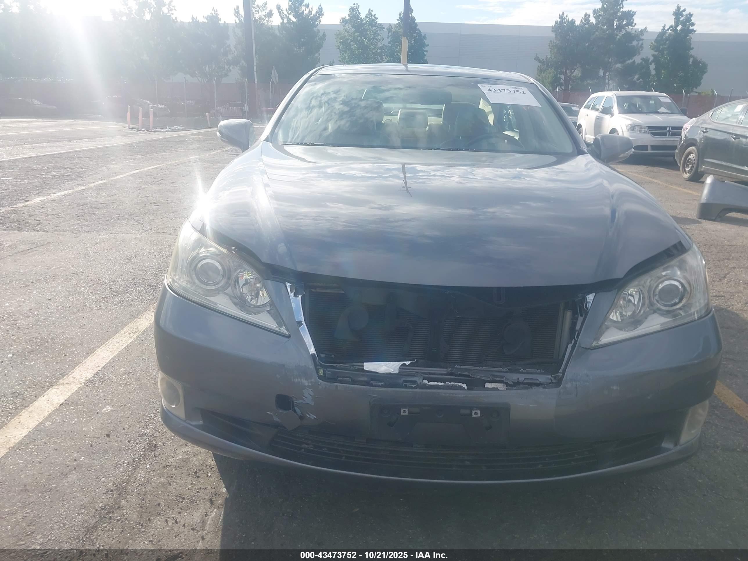 LEXUS ES image 6