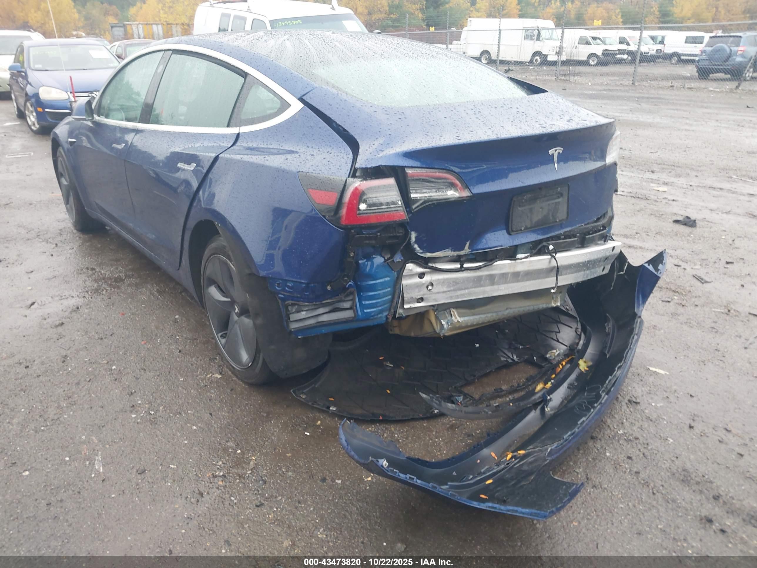 TESLA MODEL image 6