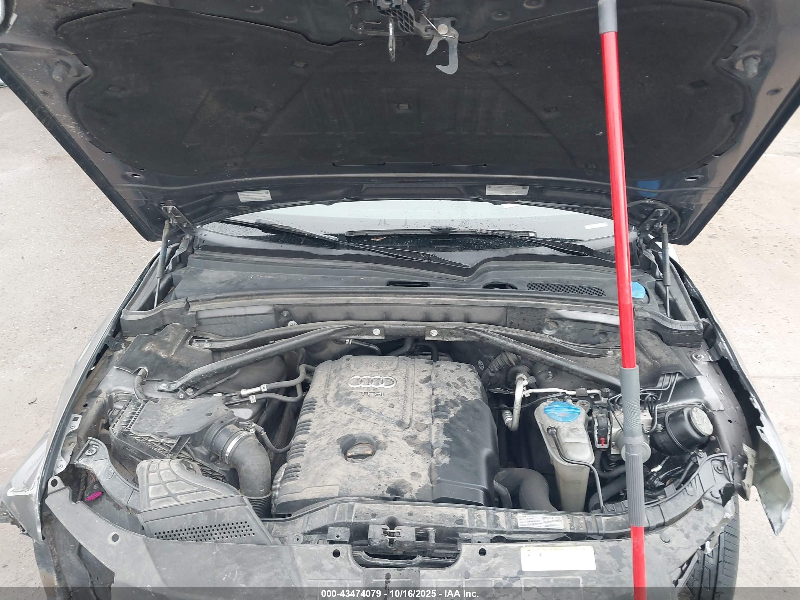 AUDI Q5 image 10