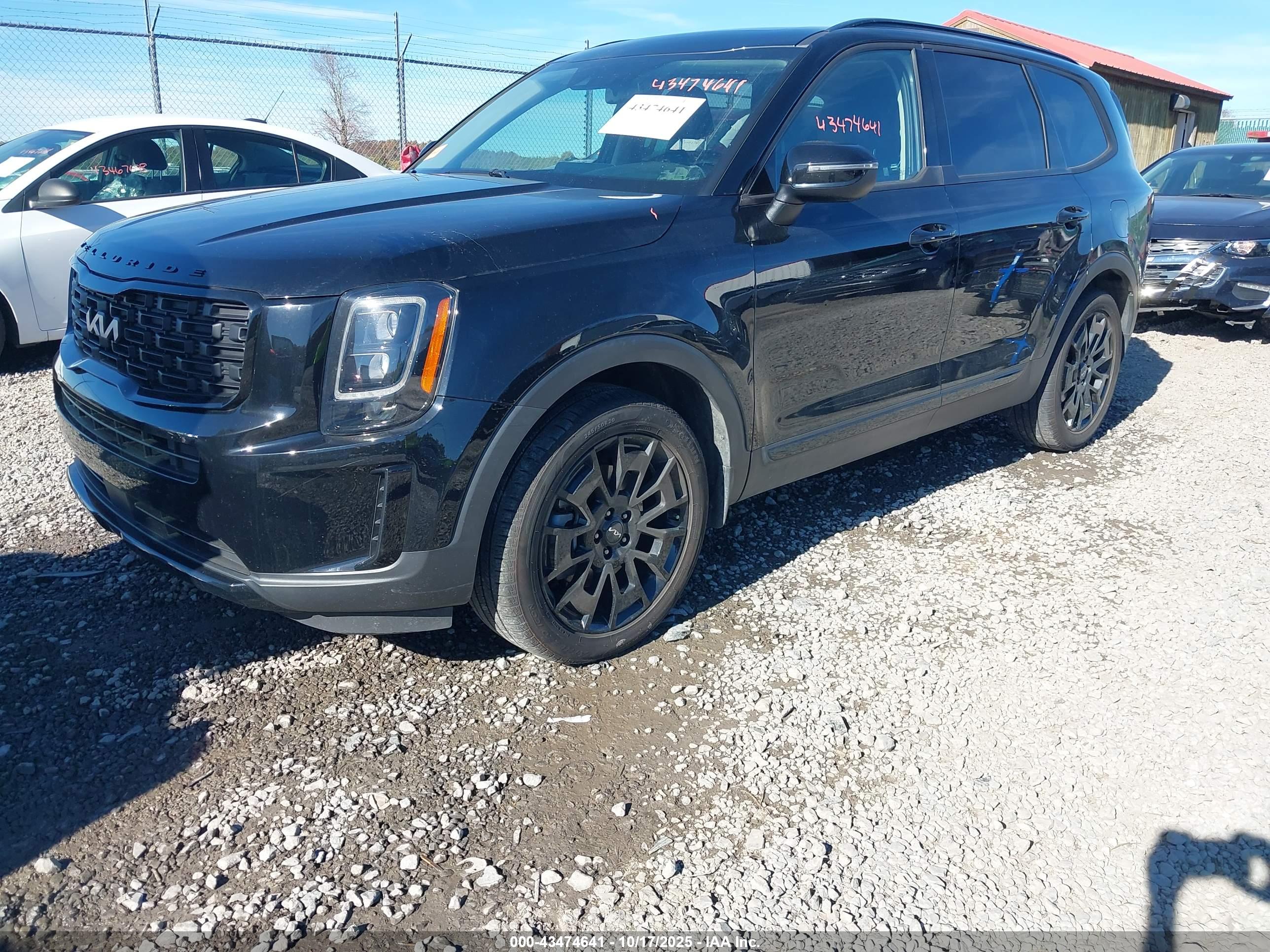KIA TELLURIDE image 2