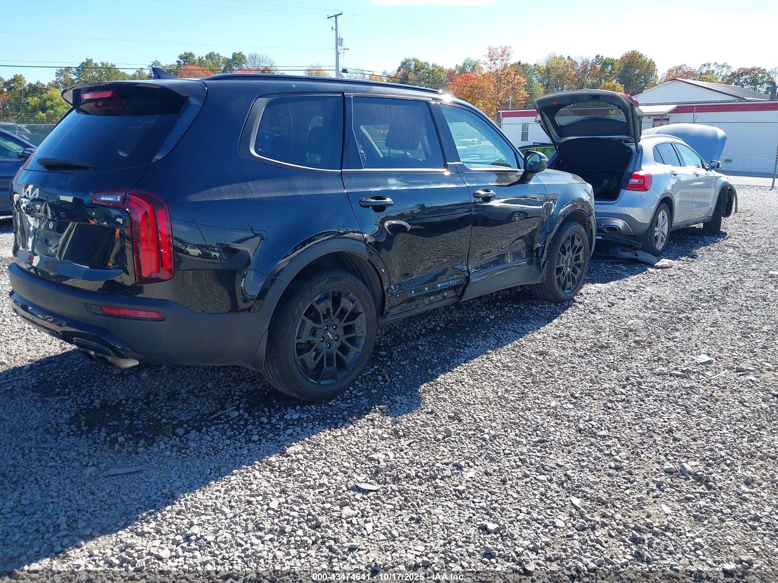 KIA TELLURIDE image 4