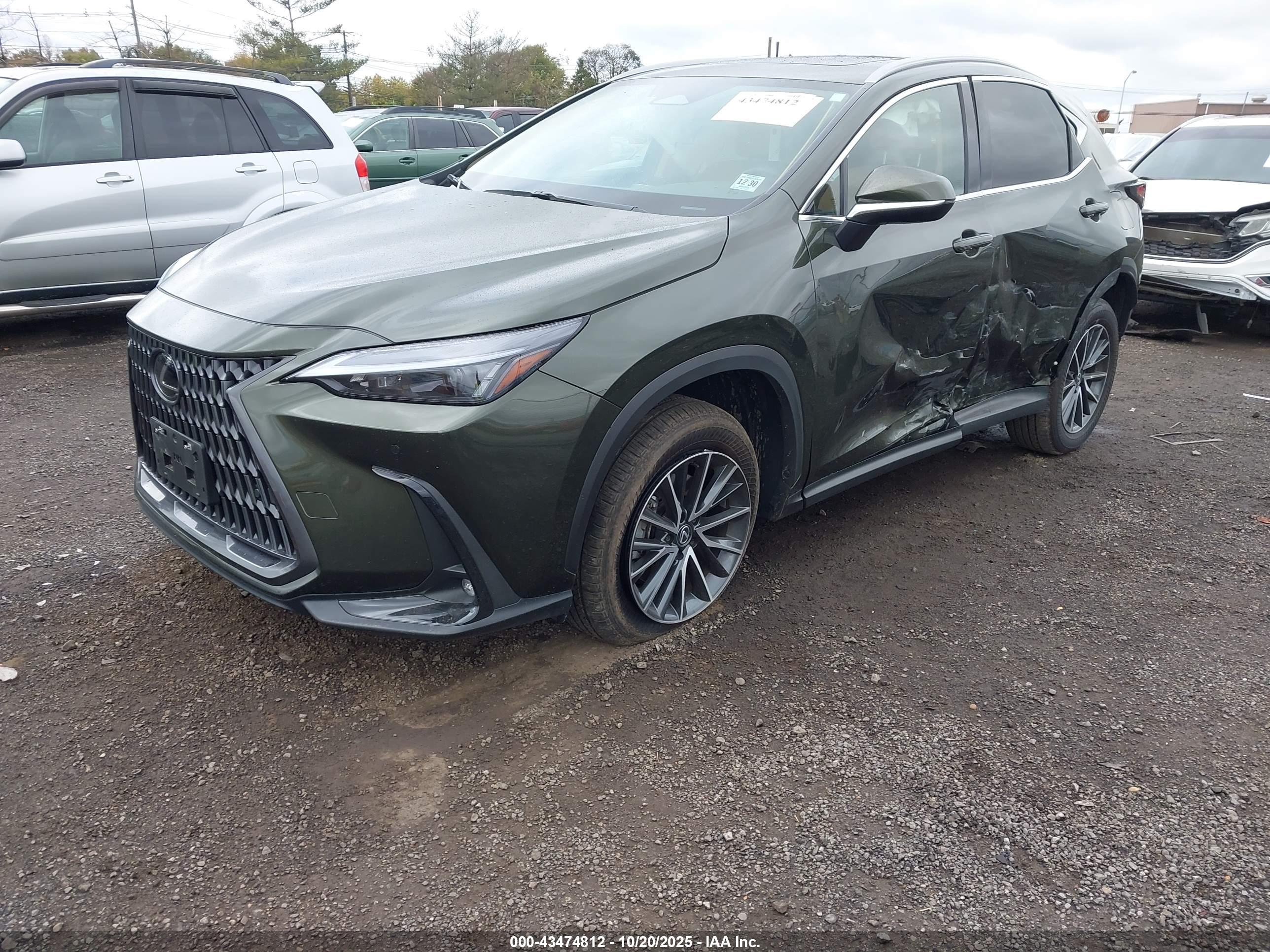 LEXUS NX image 2