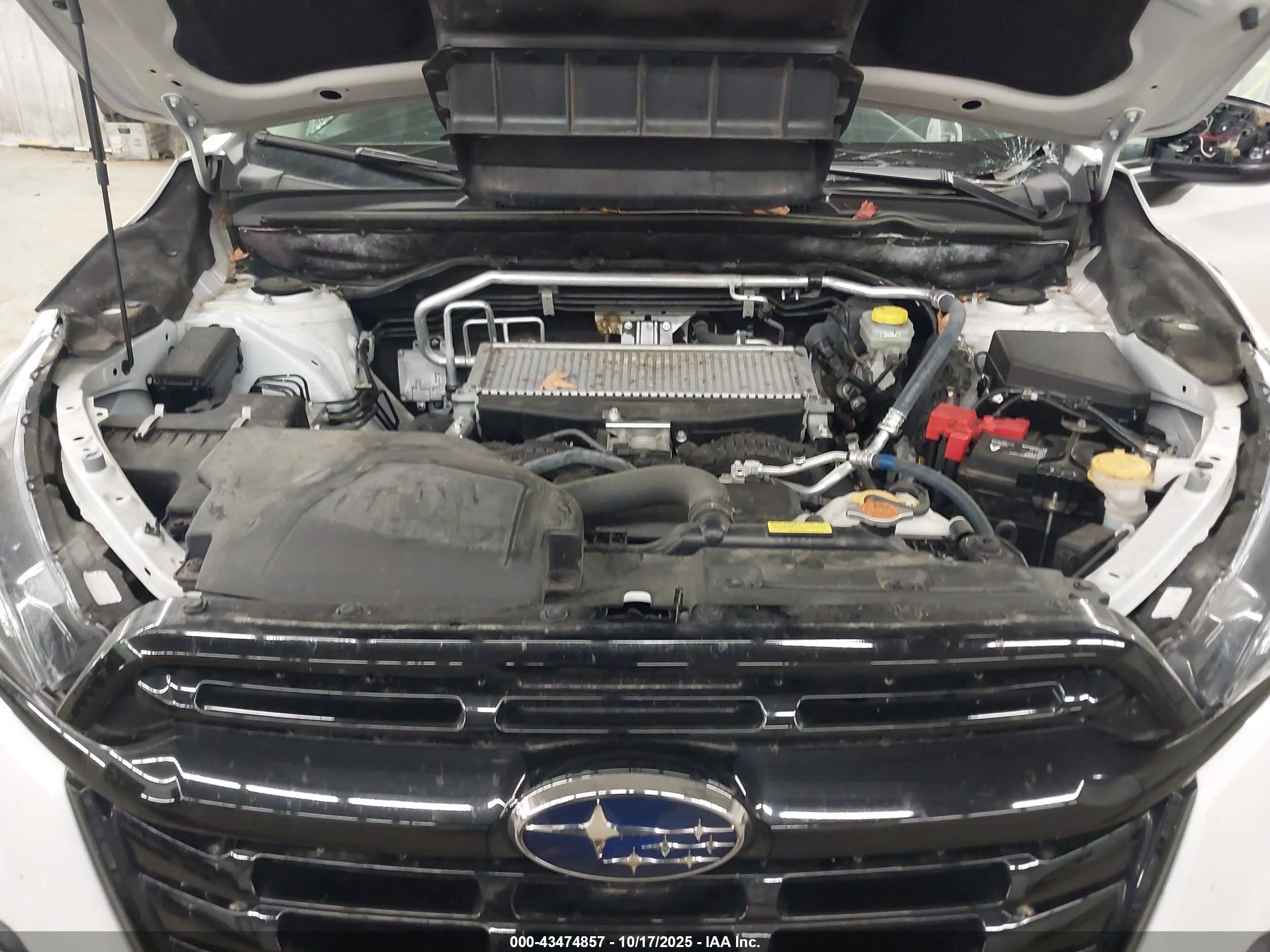 SUBARU ASCENT image 10