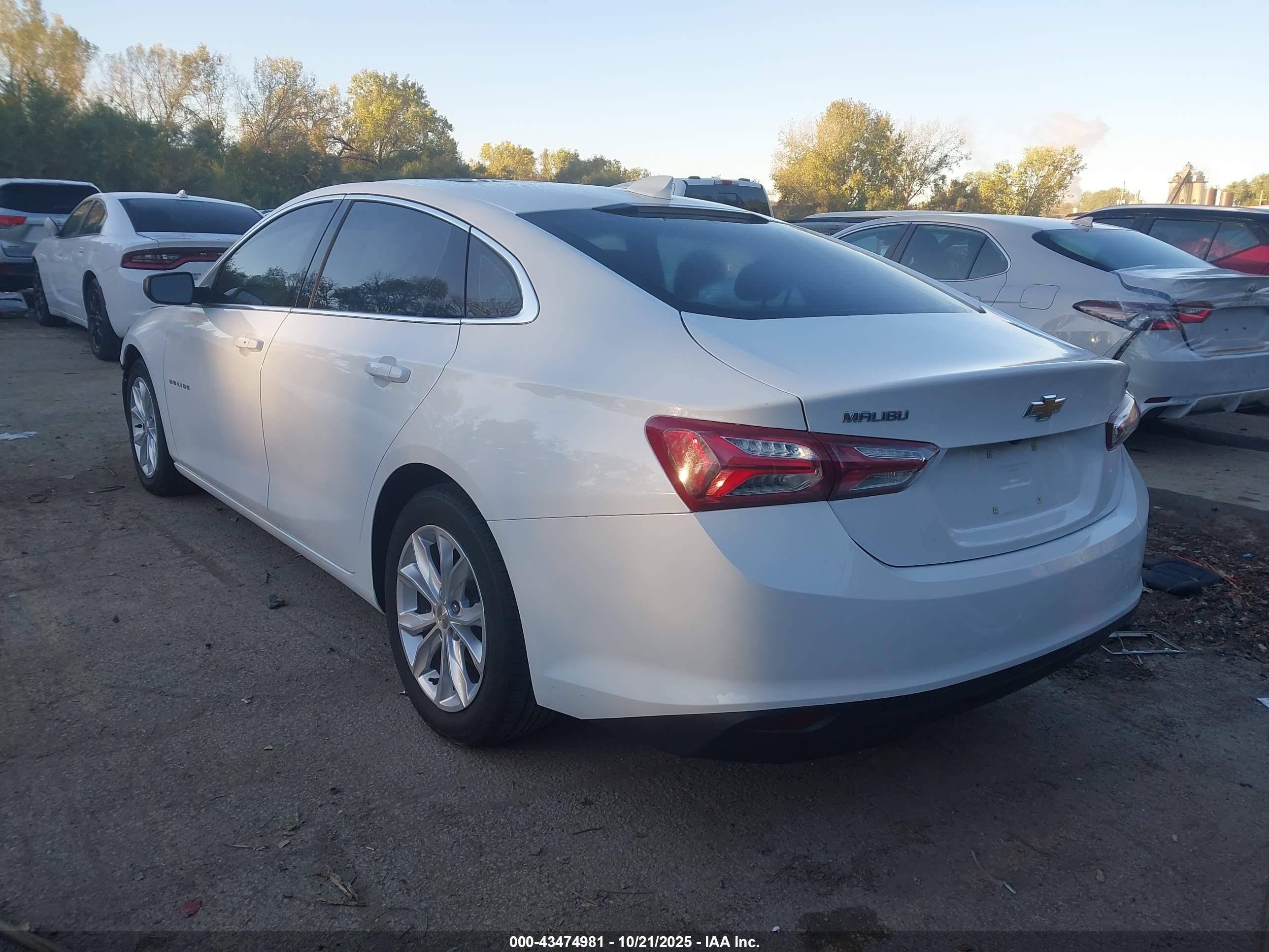 CHEVROLET MALIBU image 3