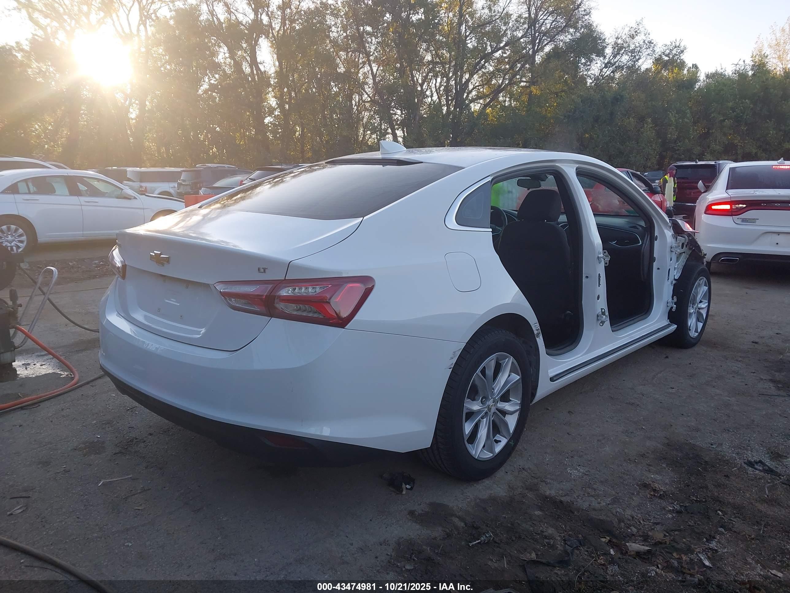 CHEVROLET MALIBU image 4