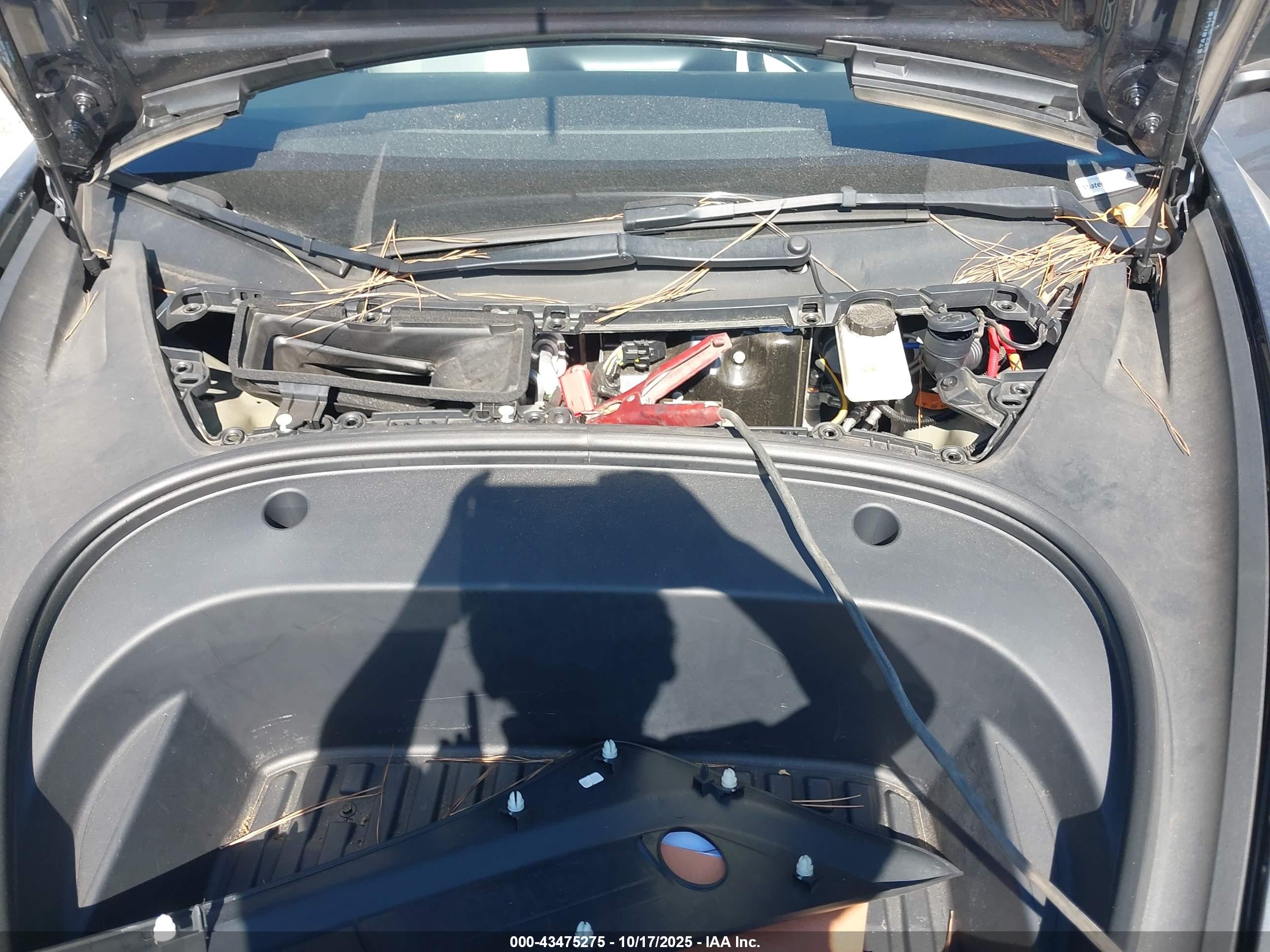 TESLA MODEL image 10