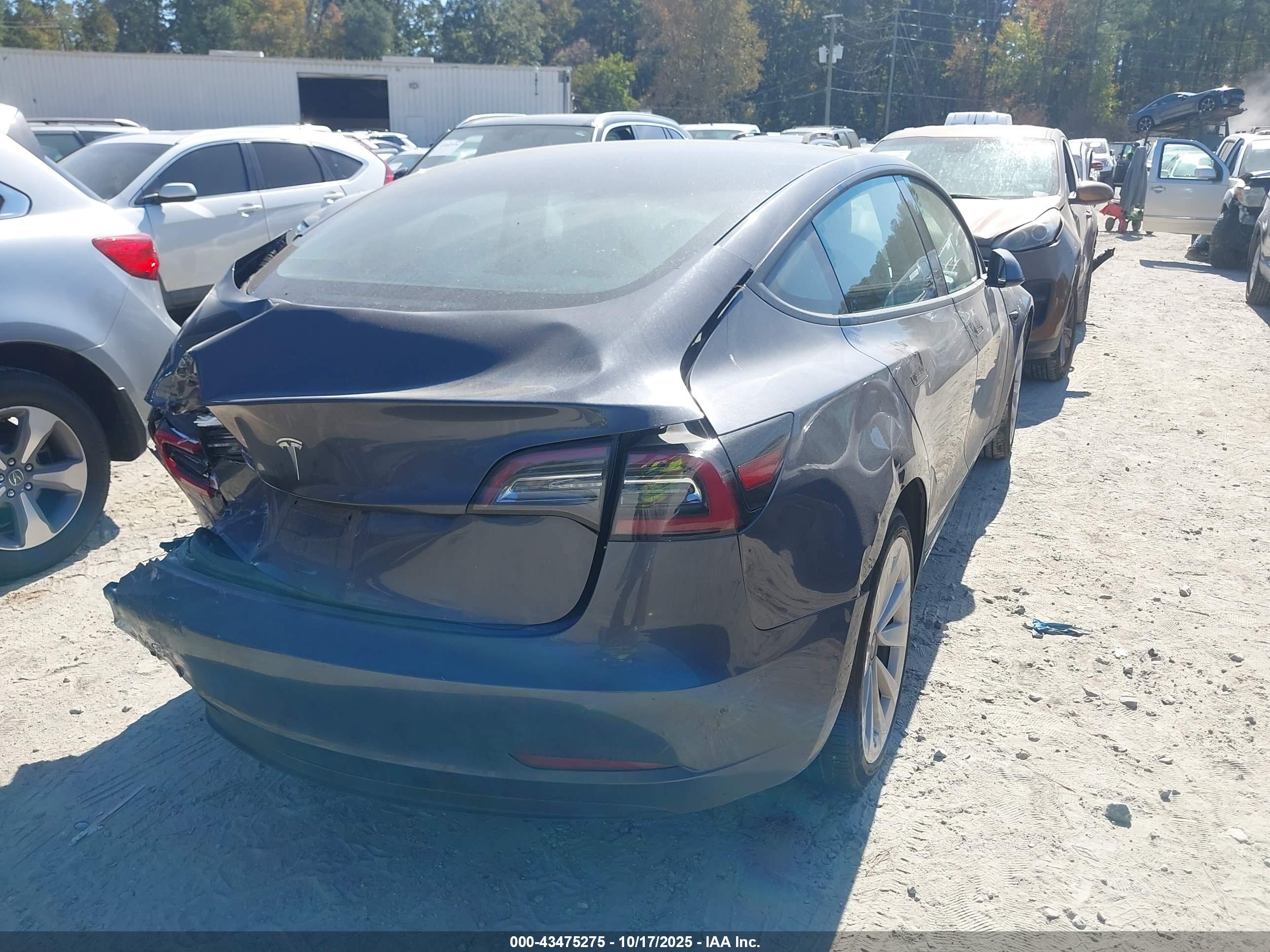 TESLA MODEL image 4