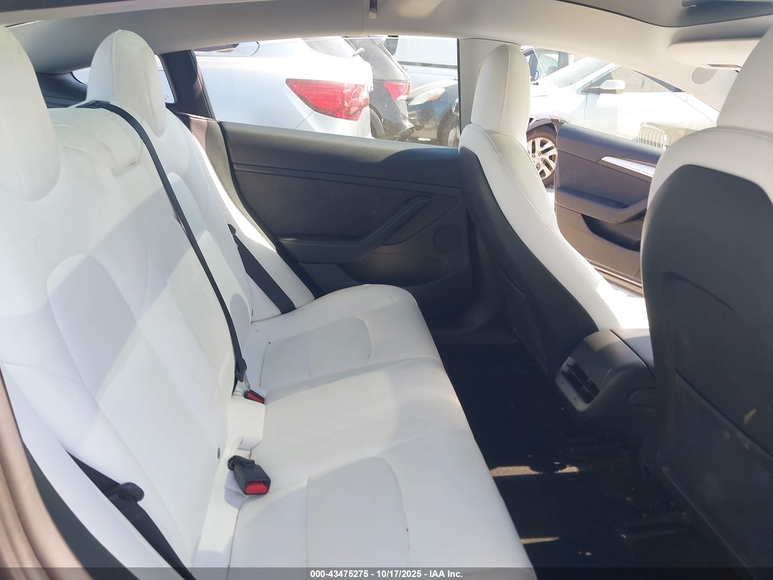 TESLA MODEL image 8
