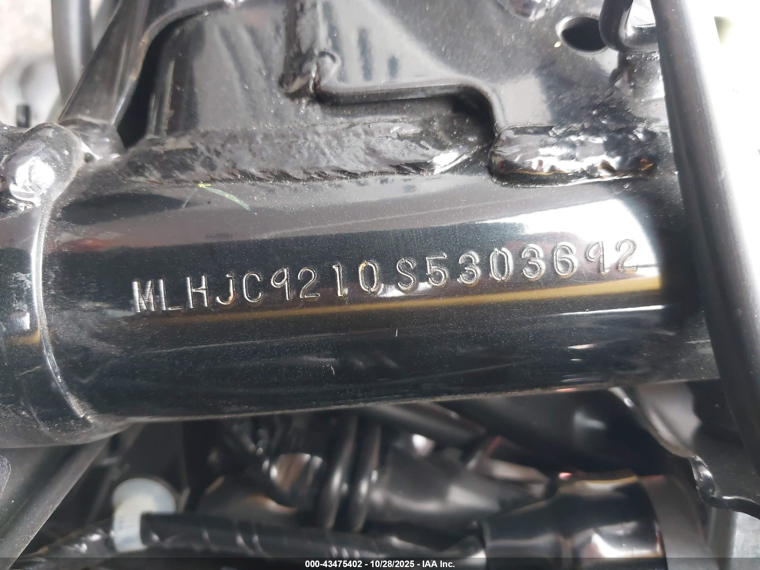 HONDA GROM image 10