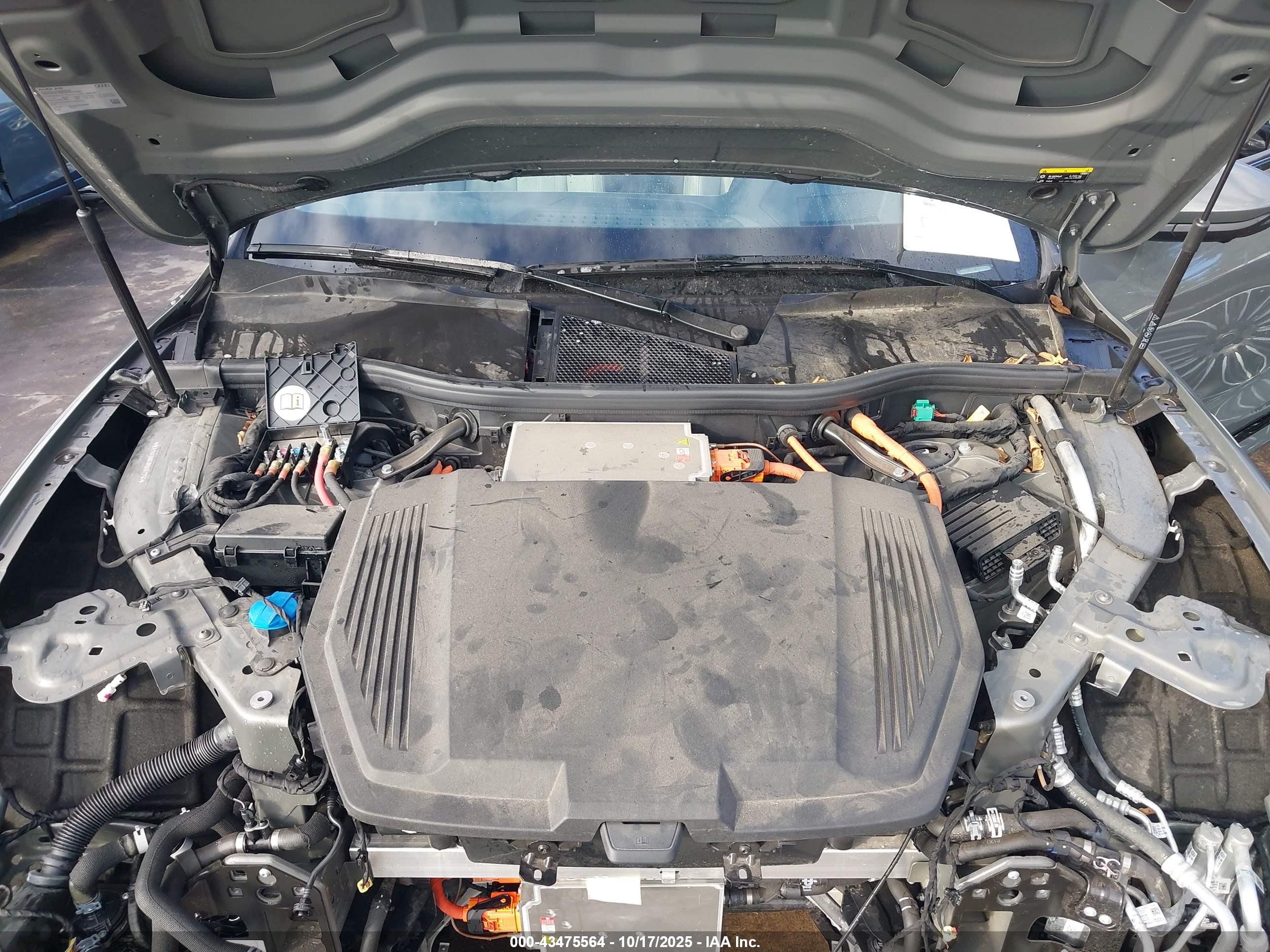 AUDI Q8 image 10
