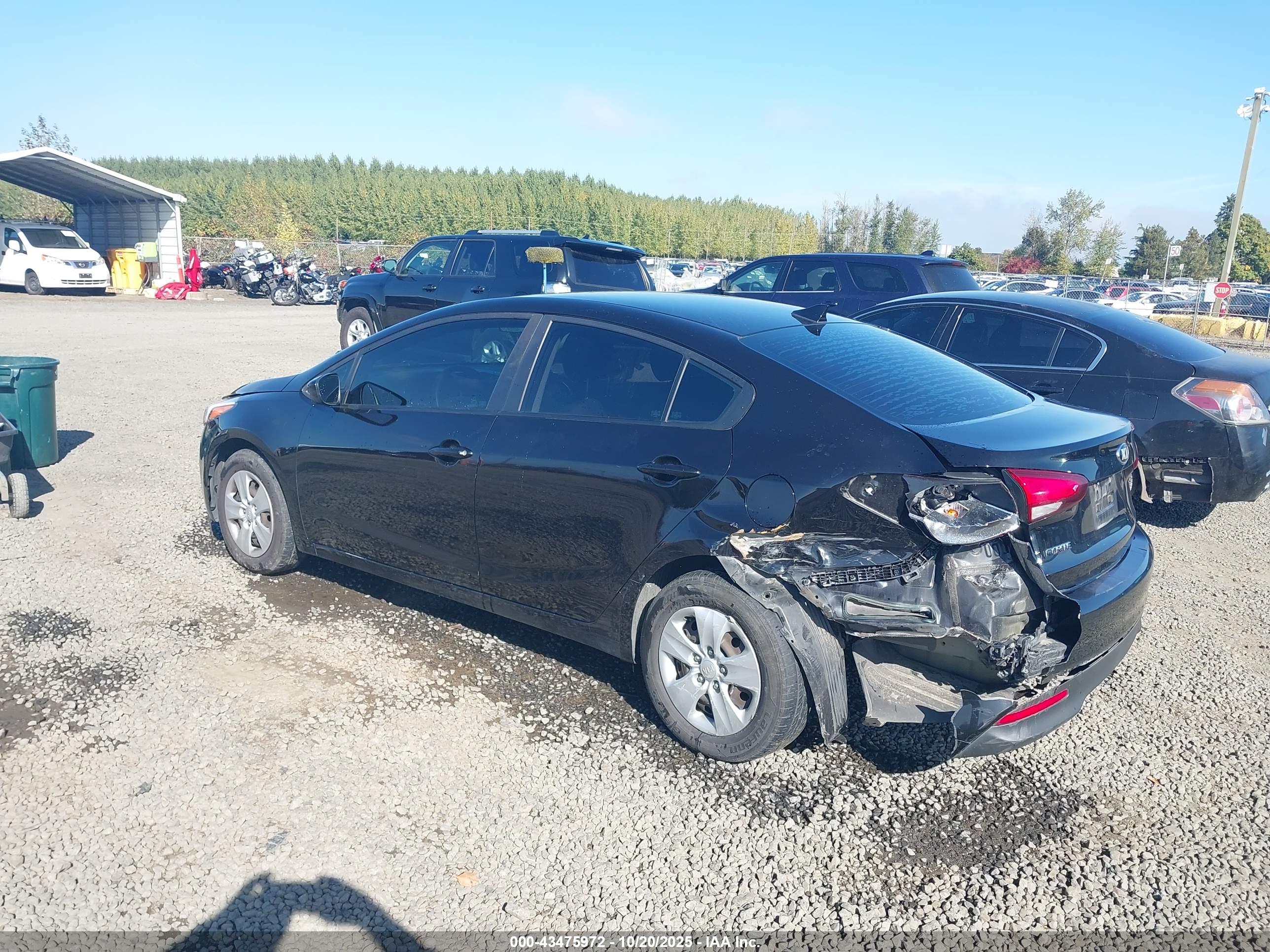 KIA FORTE image 3