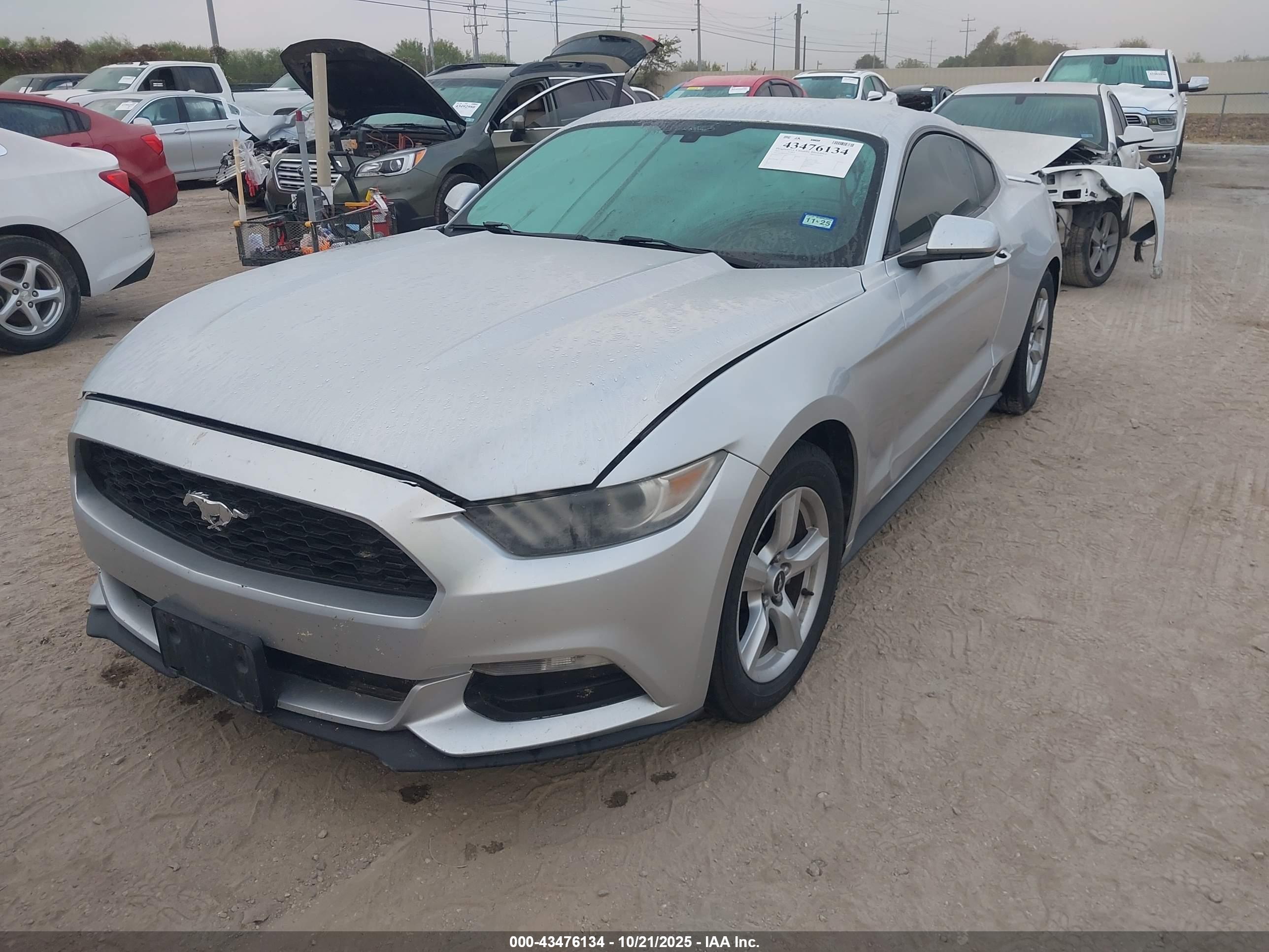 FORD MUSTANG image 2