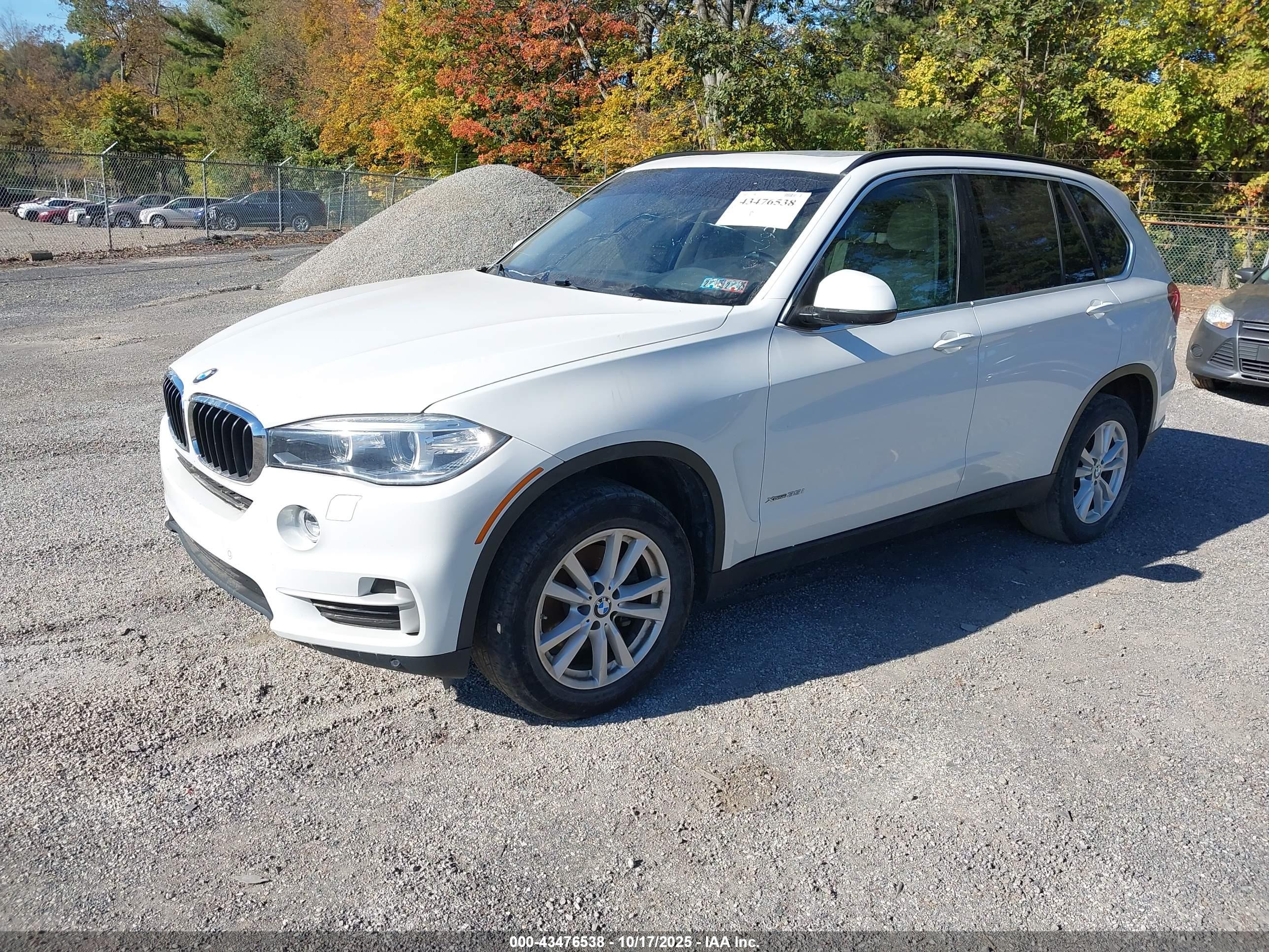 BMW X5 image 2