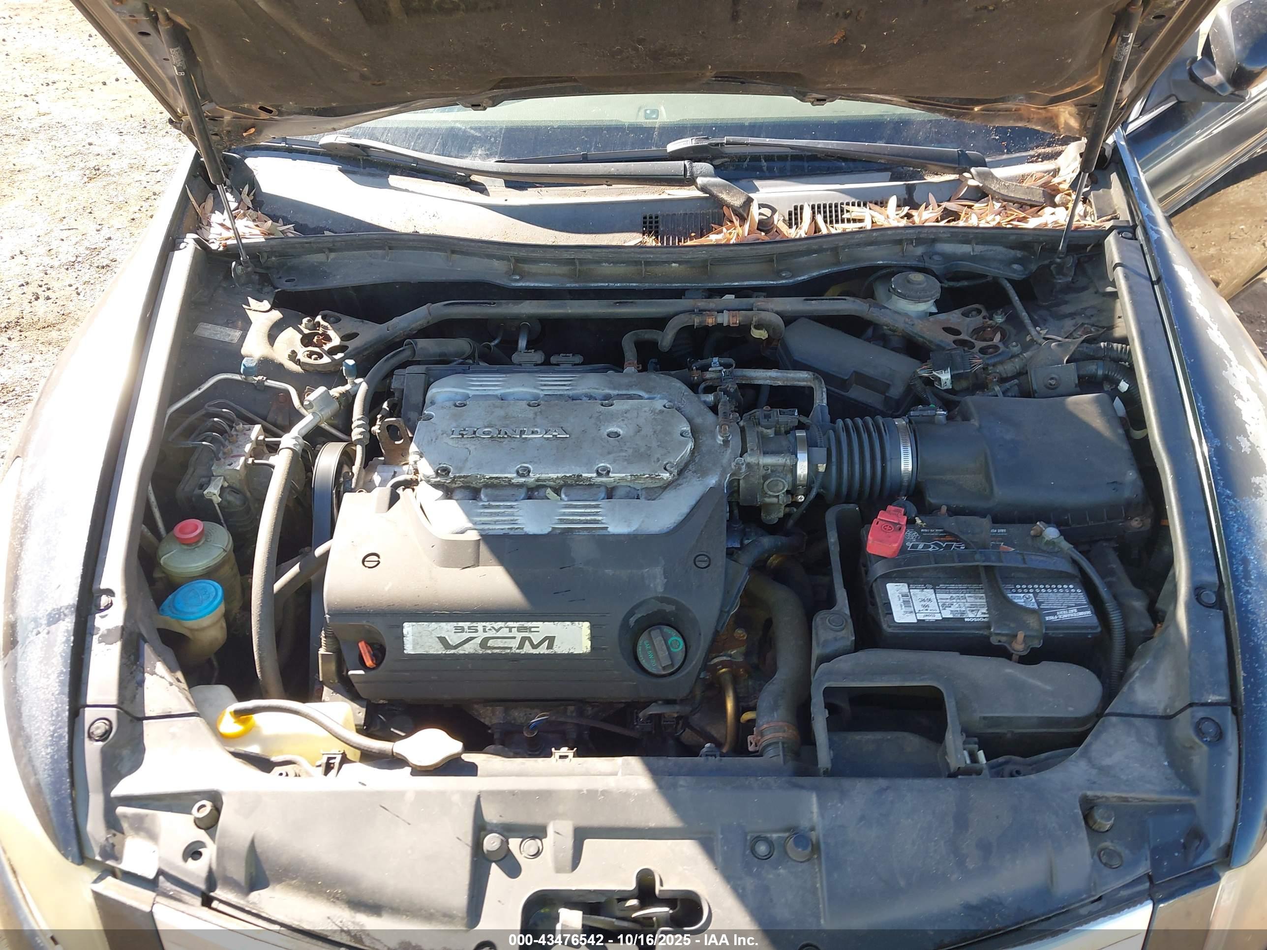 HONDA ACCORD image 10