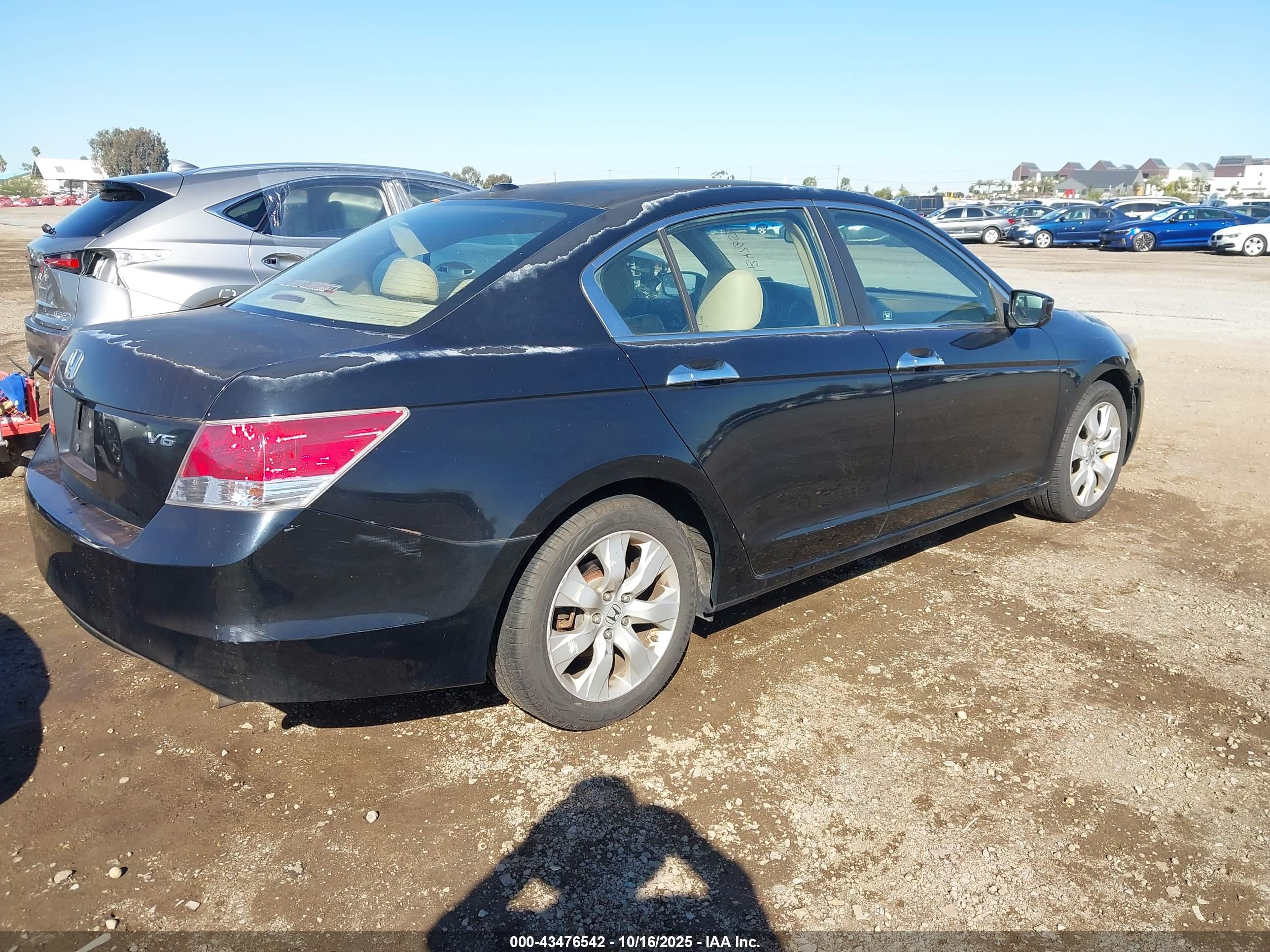 HONDA ACCORD image 4