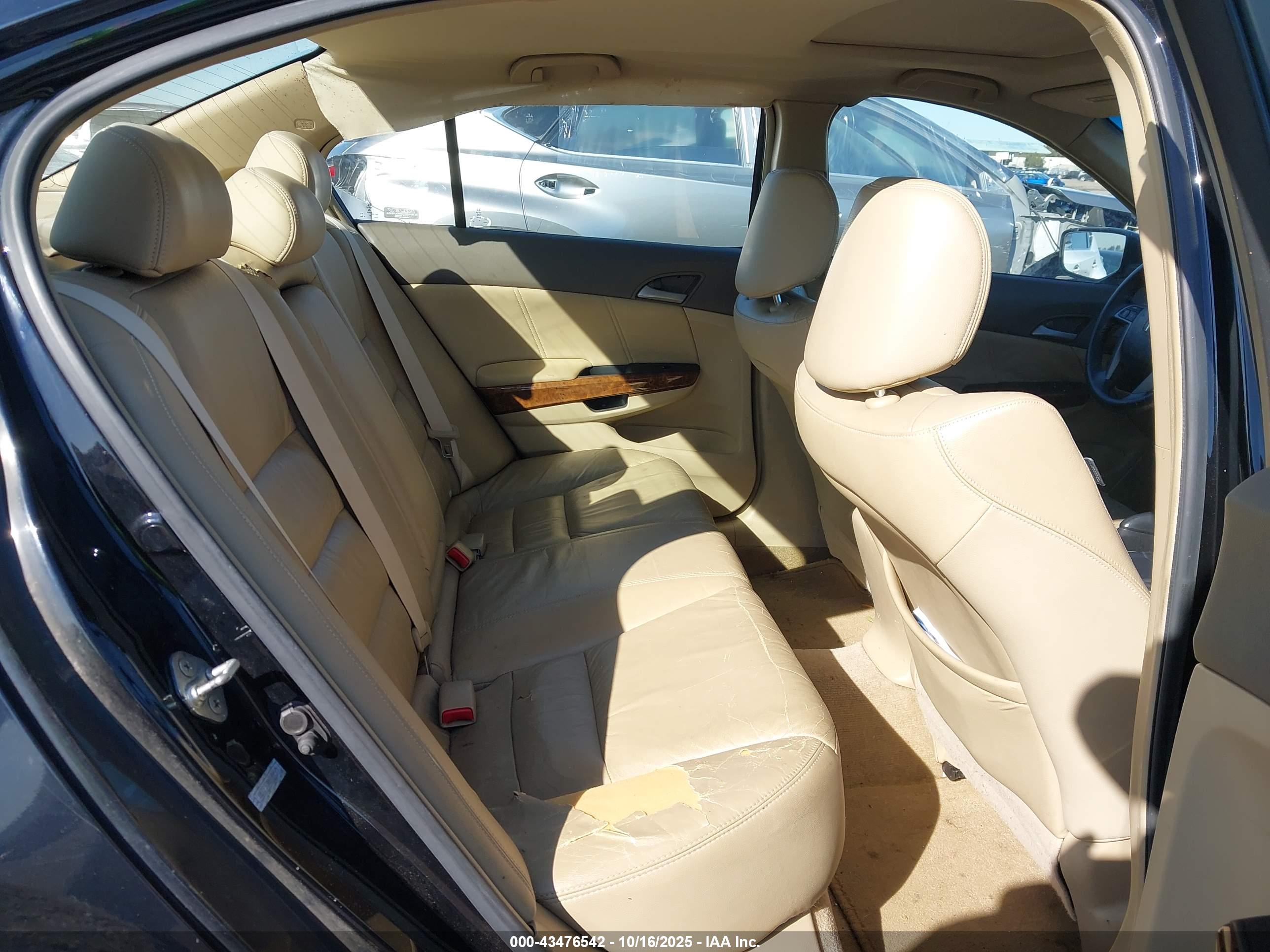 HONDA ACCORD image 8