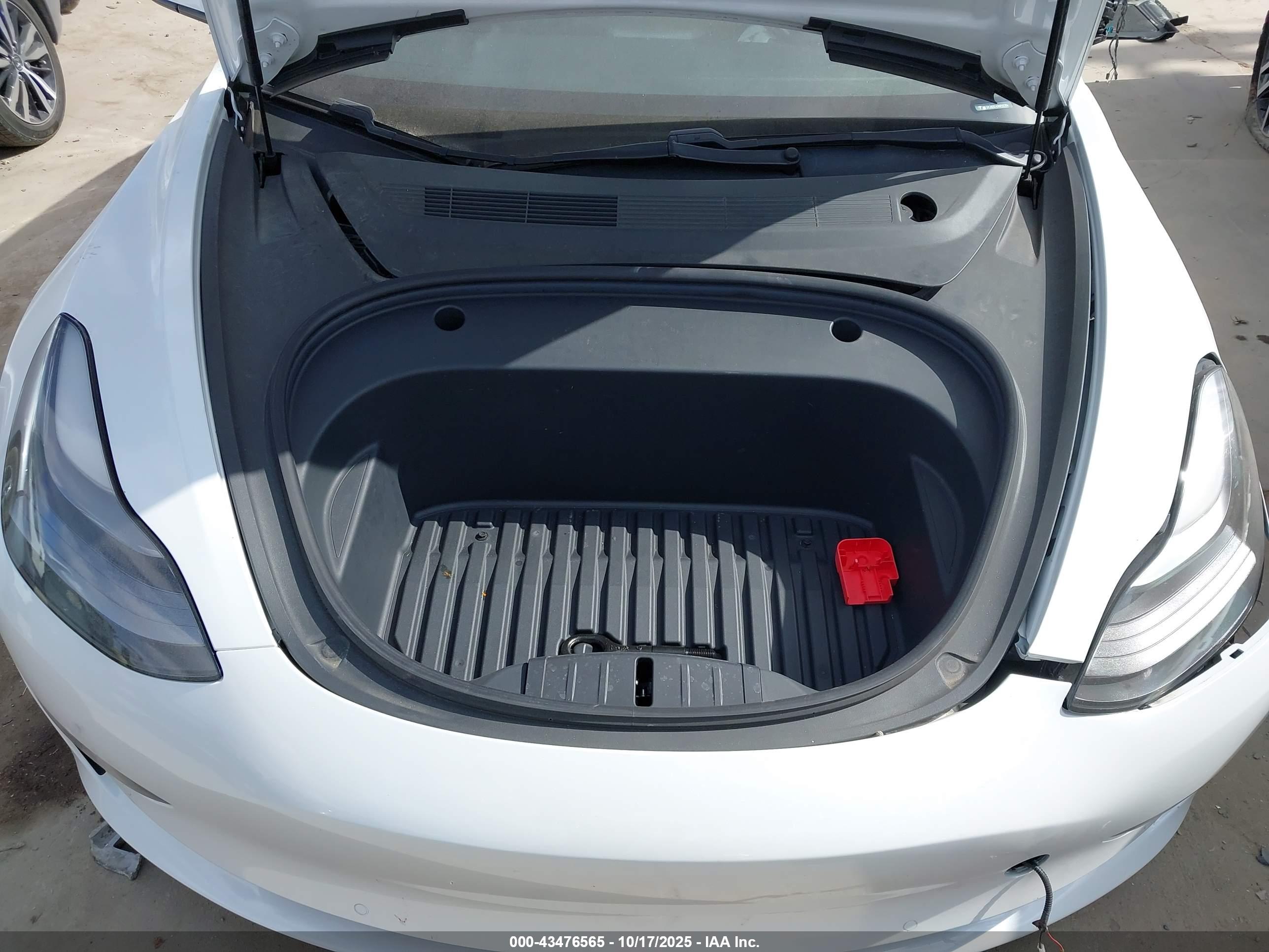 TESLA MODEL image 10