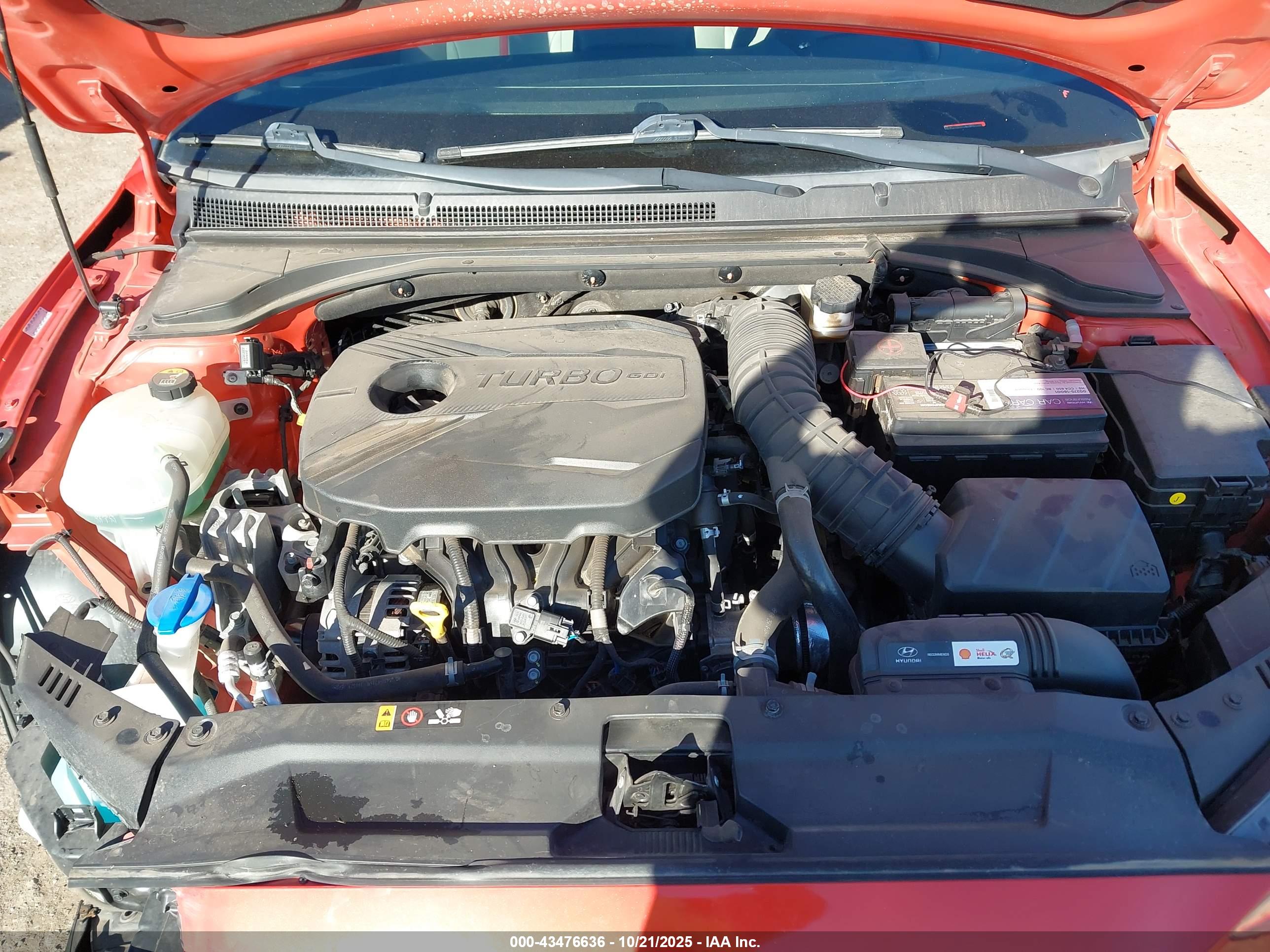 HYUNDAI VELOSTER image 10