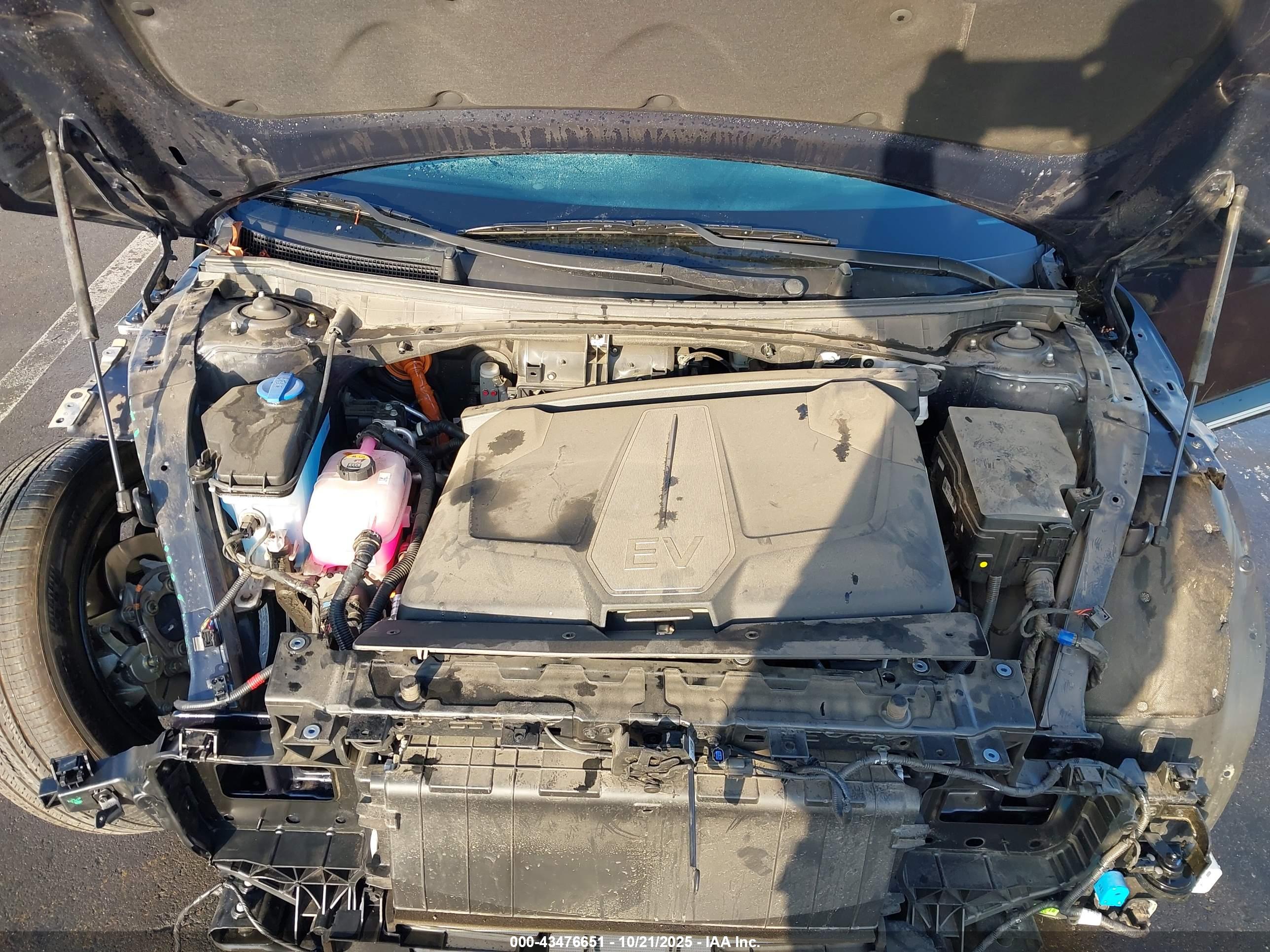 KIA EV6 image 10