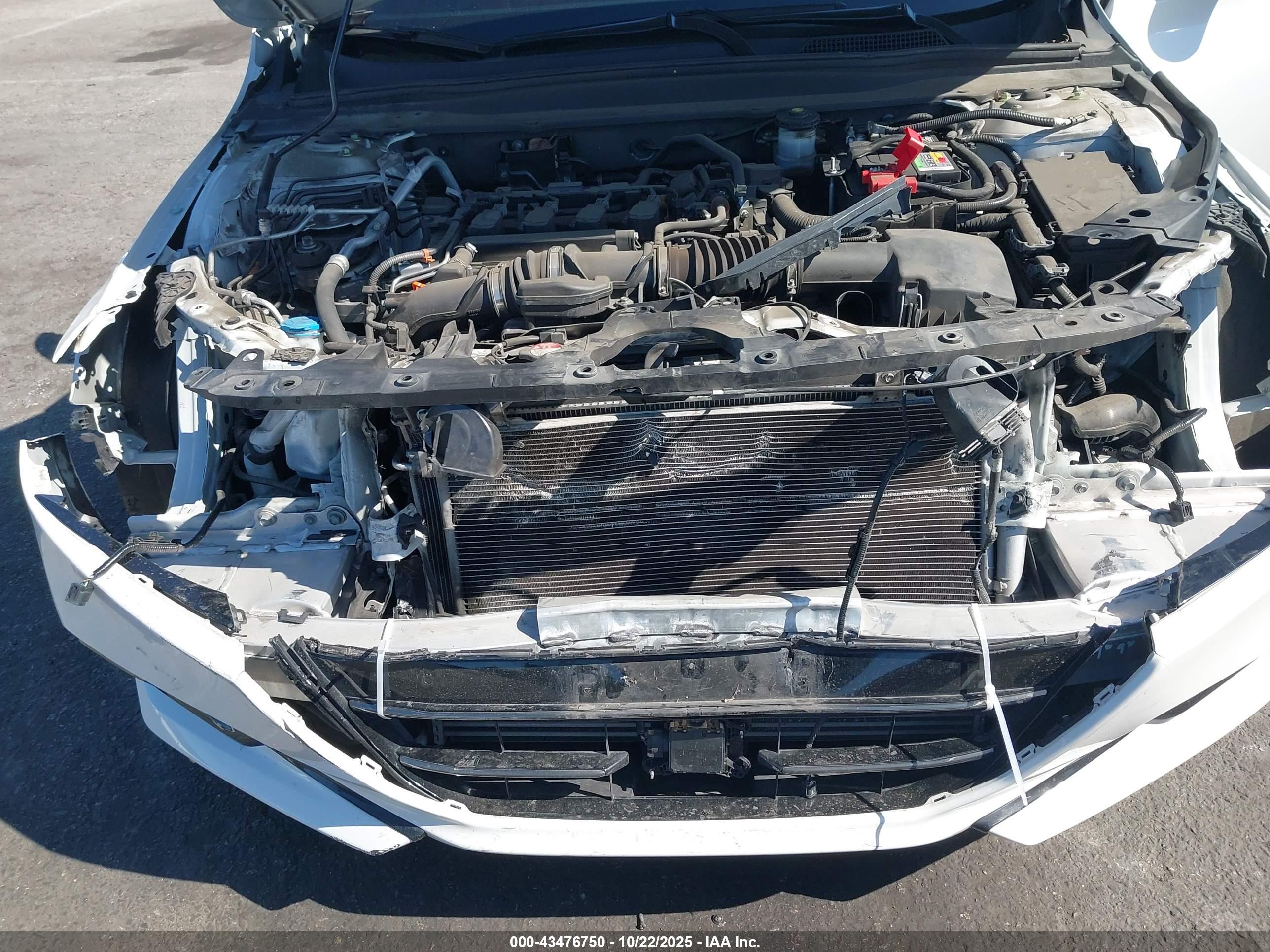 HONDA ACCORD image 6