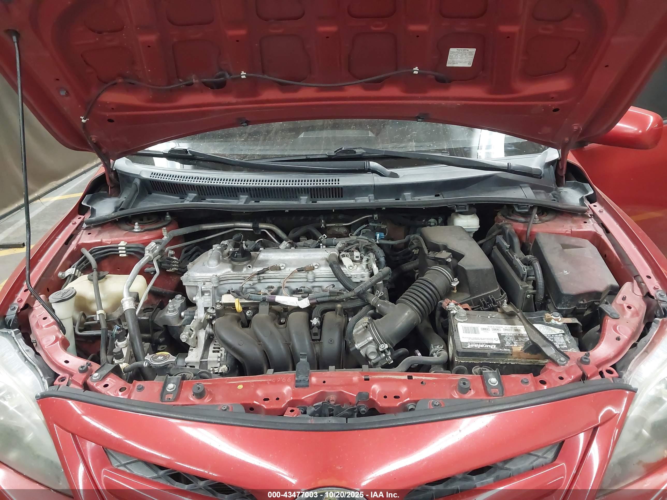 TOYOTA COROLLA image 10