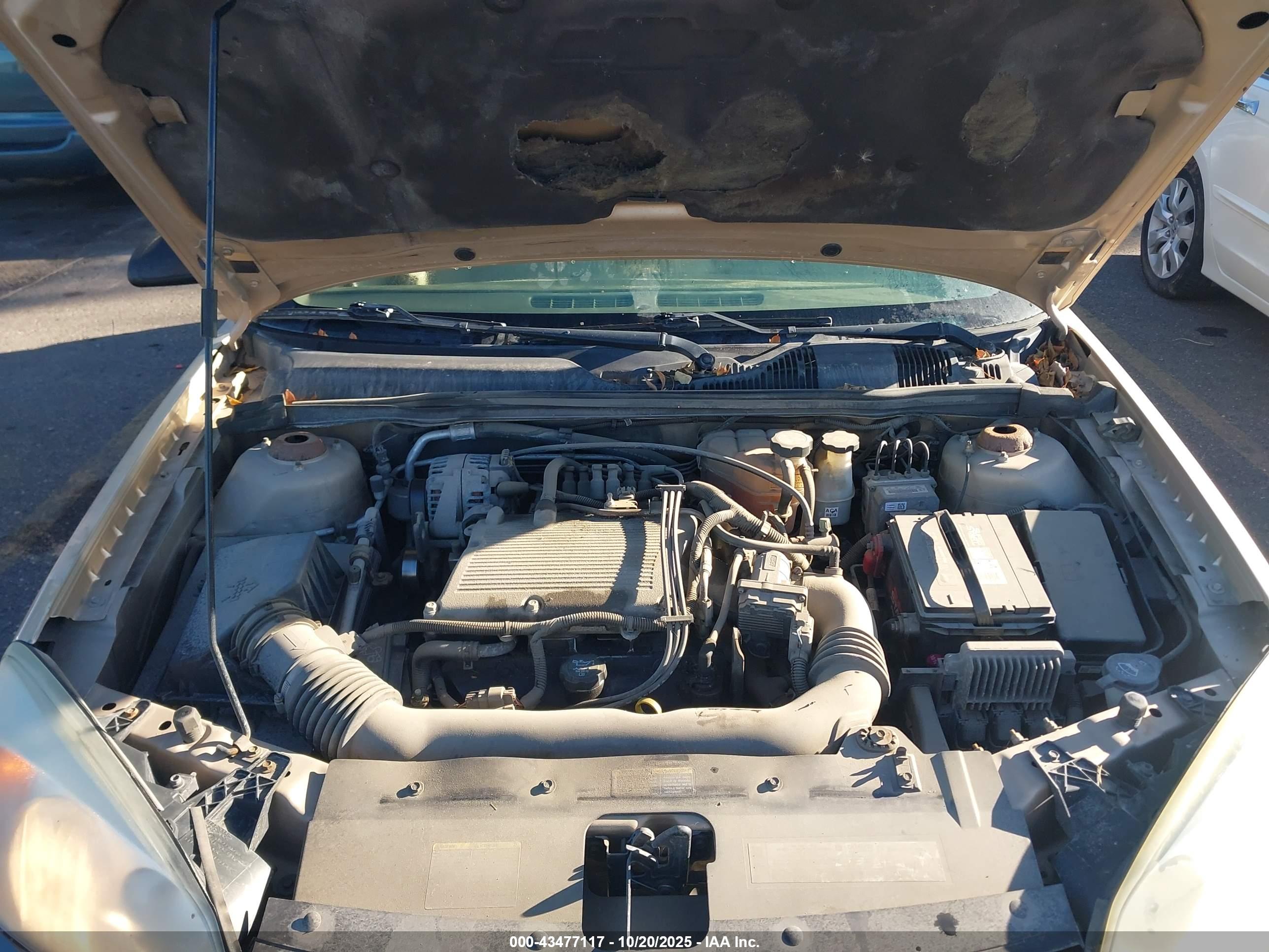 CHEVROLET MALIBU image 10