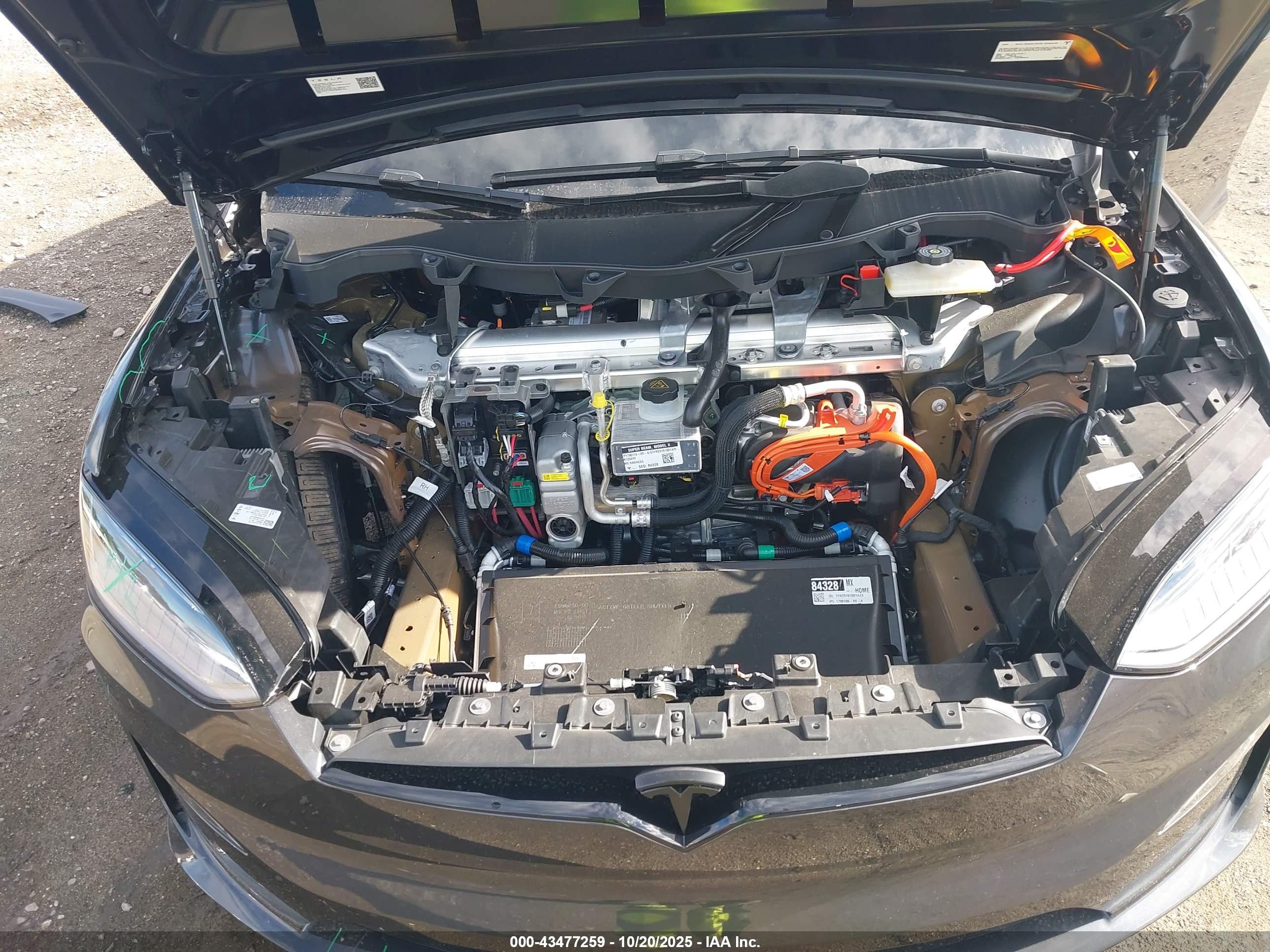 TESLA MODEL image 10