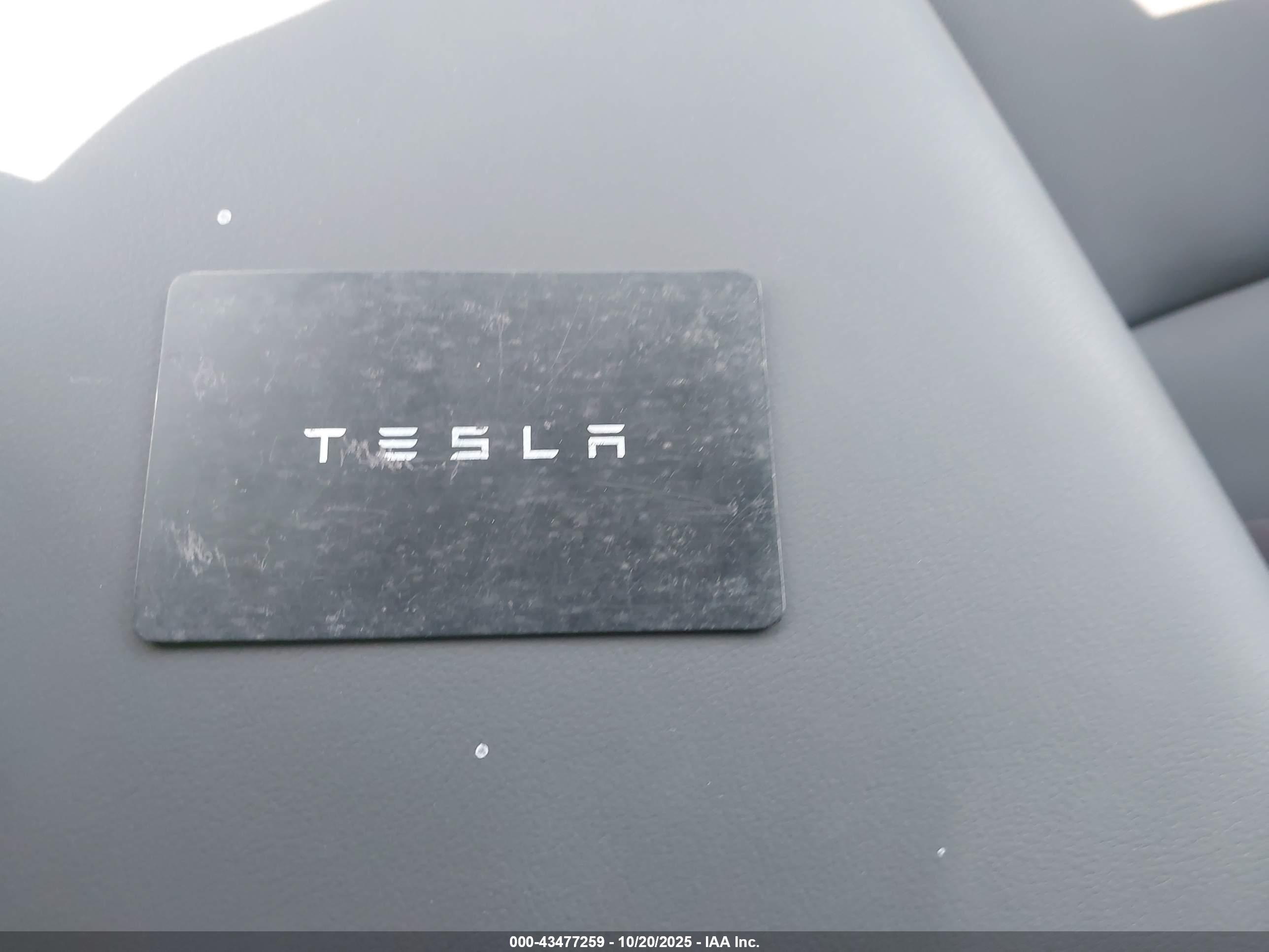 TESLA MODEL image 11