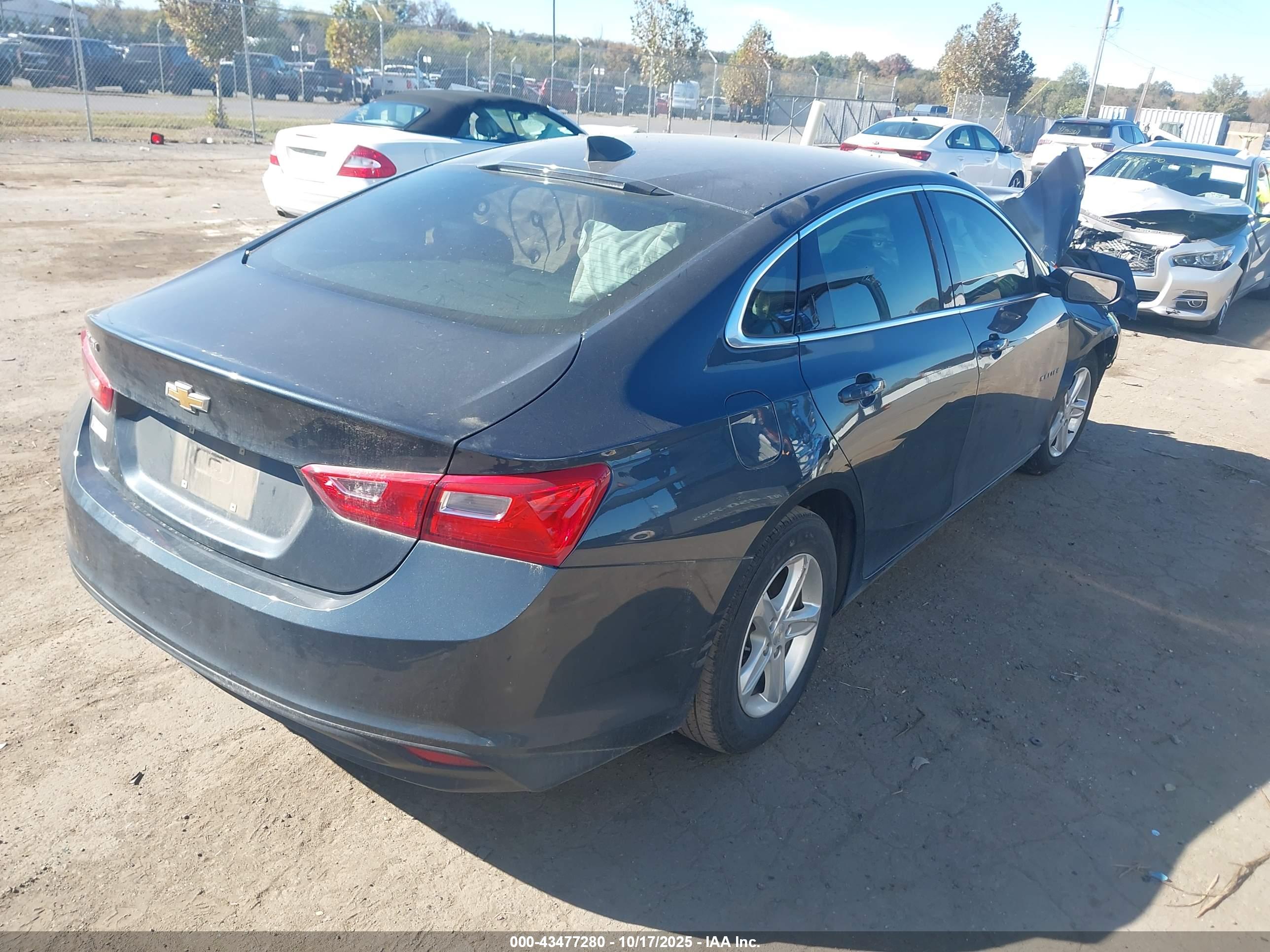 CHEVROLET MALIBU image 4