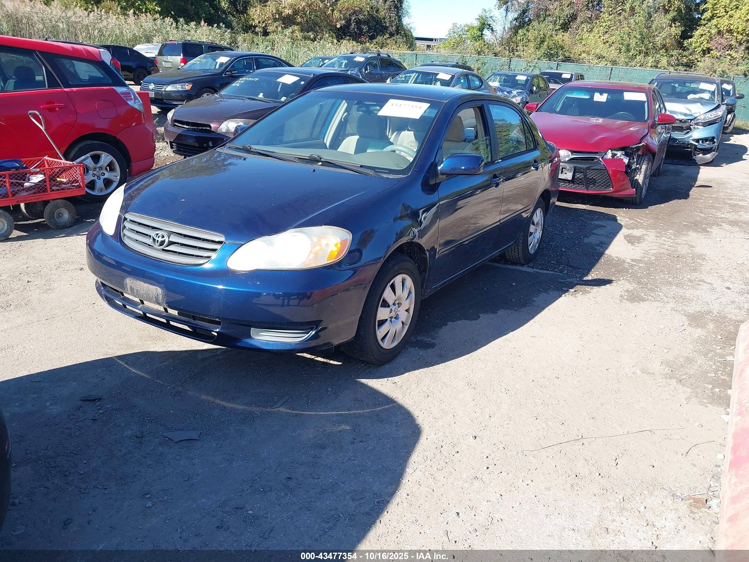 TOYOTA COROLLA image 2