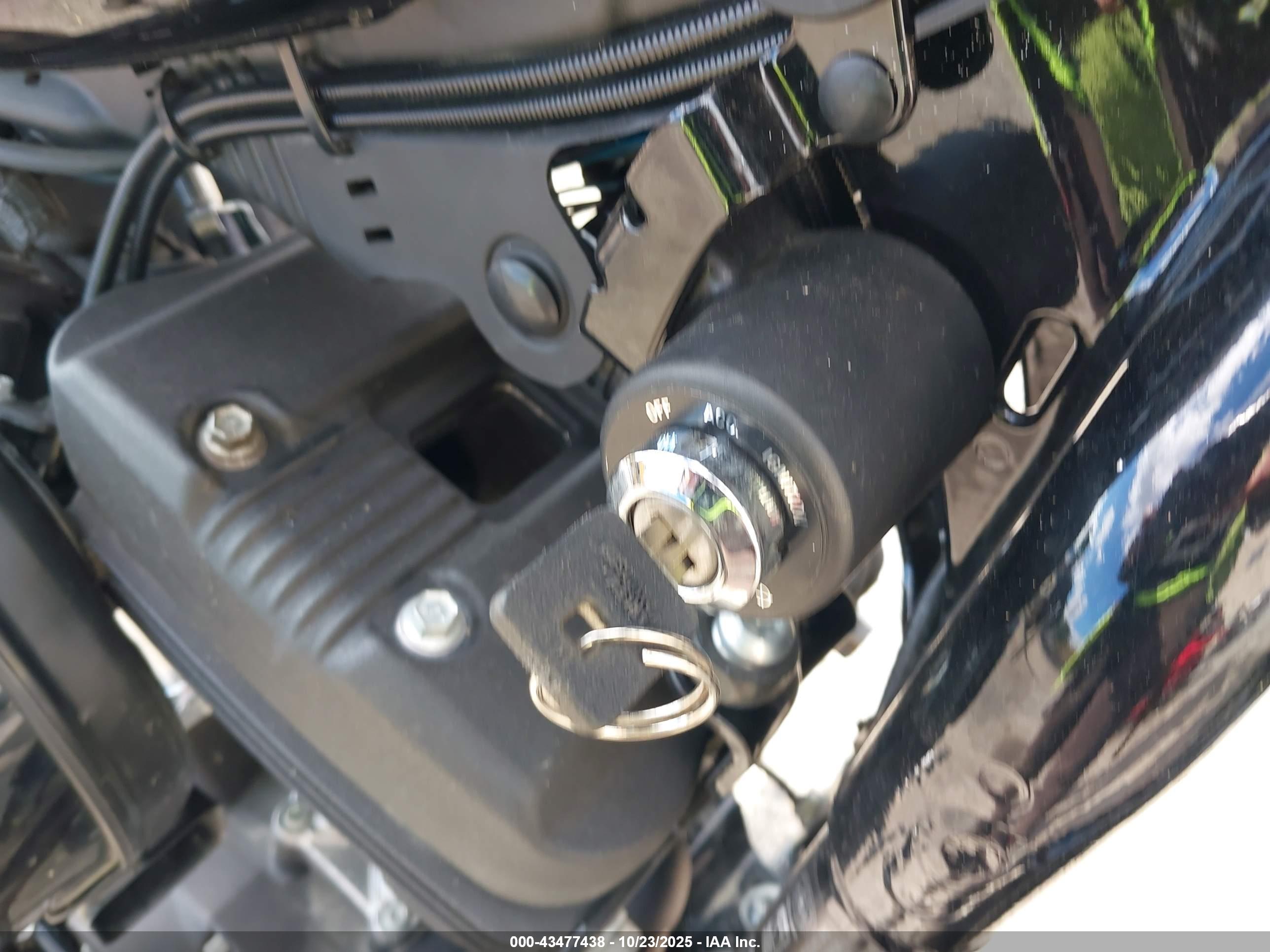 HARLEY-DAVIDSON XL1200 image 11