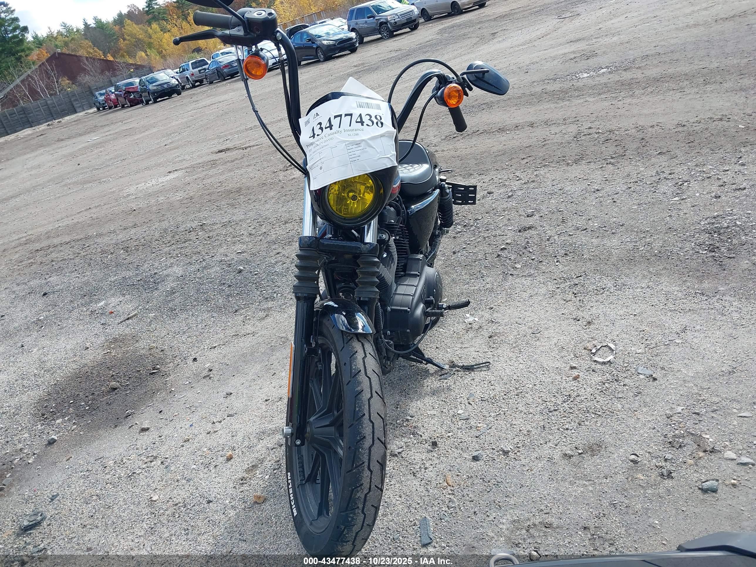 HARLEY-DAVIDSON XL1200 image 5