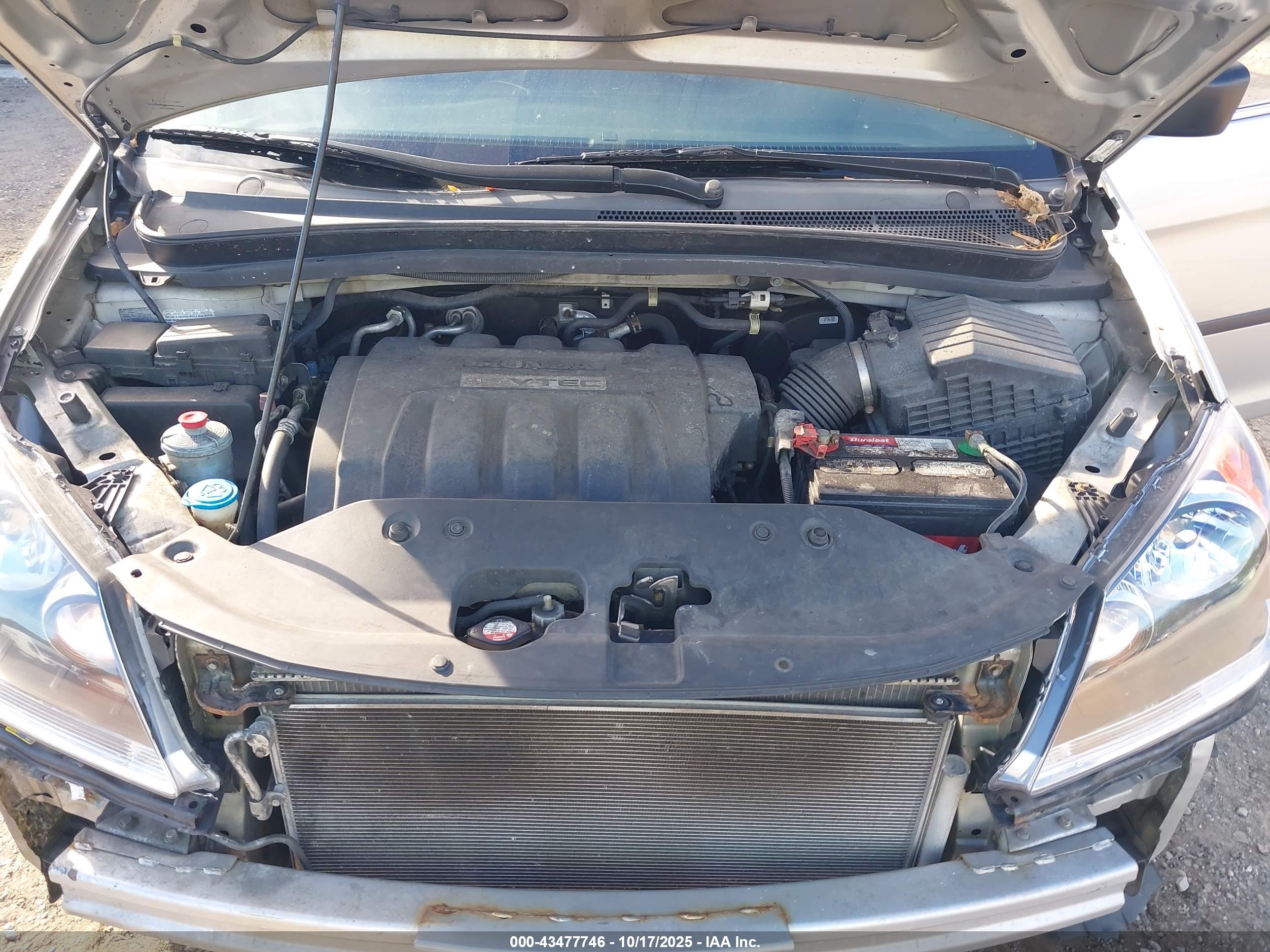HONDA ODYSSEY image 10