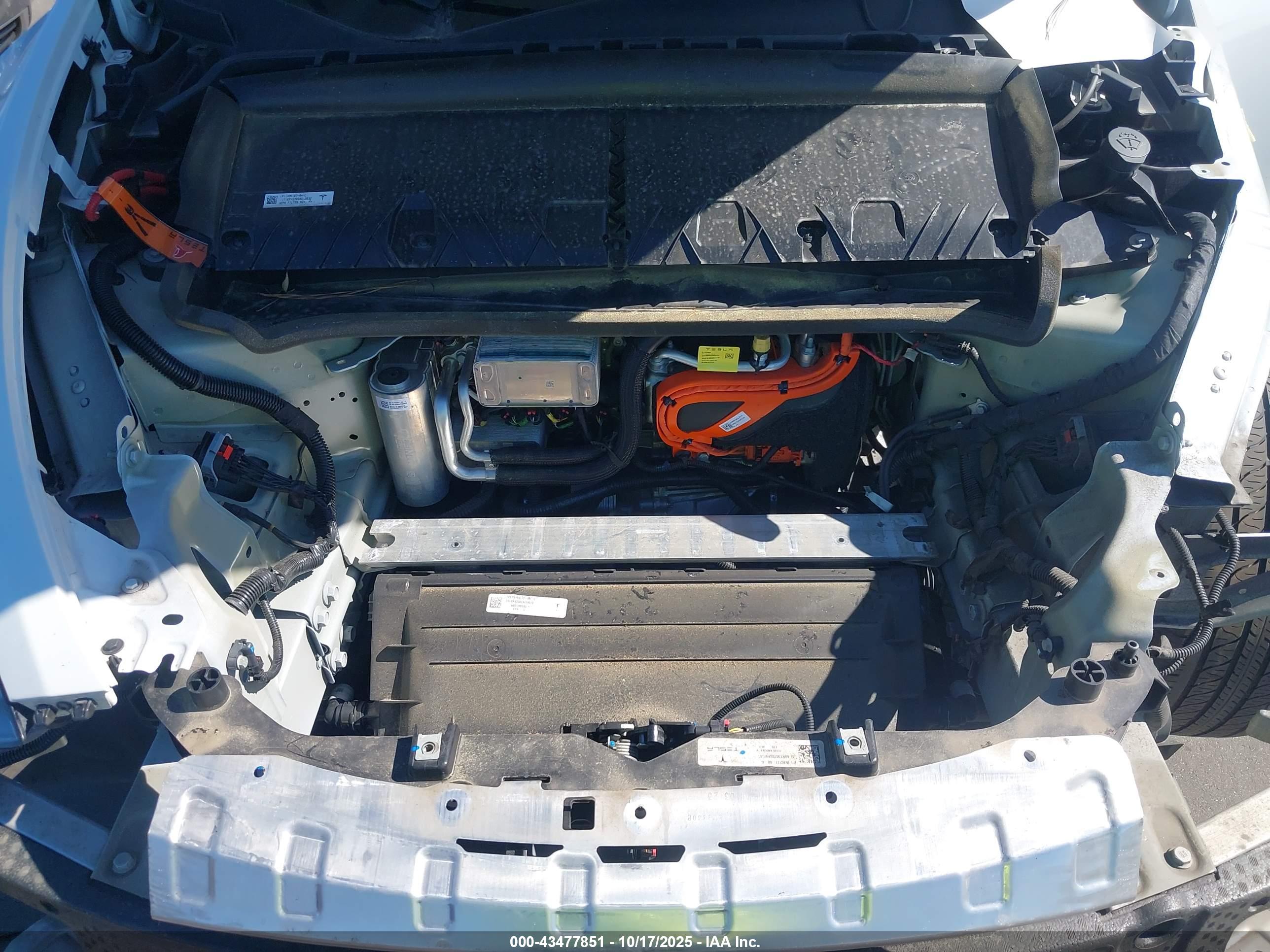 TESLA MODEL image 10