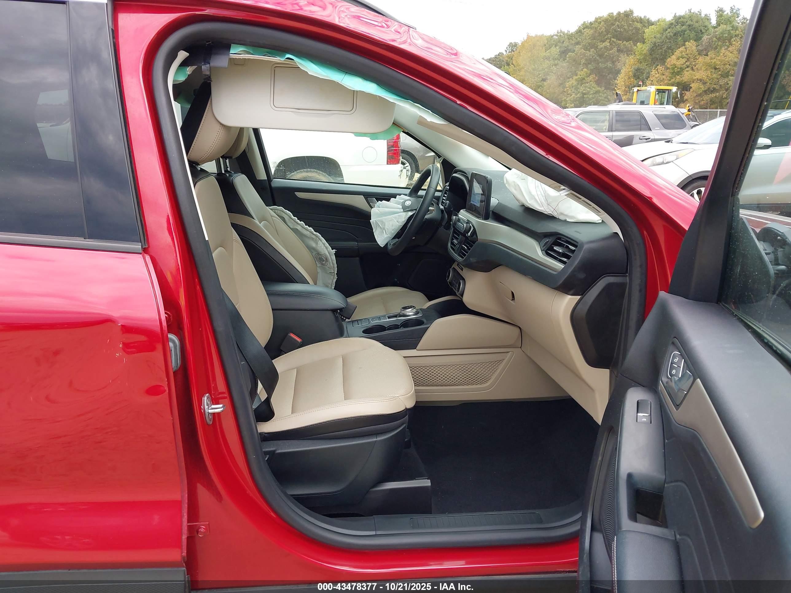 FORD ESCAPE image 5