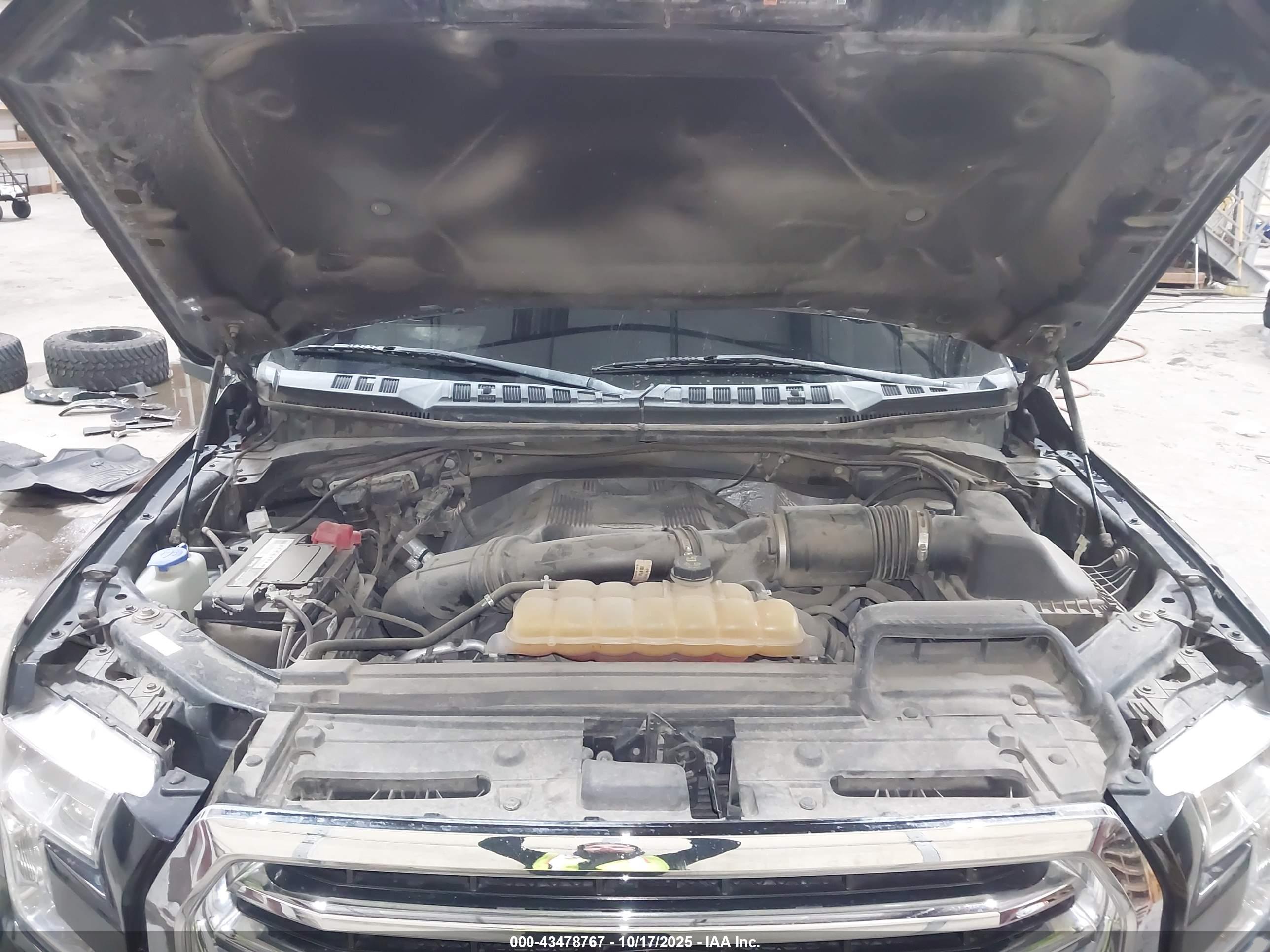 FORD F-150 image 10