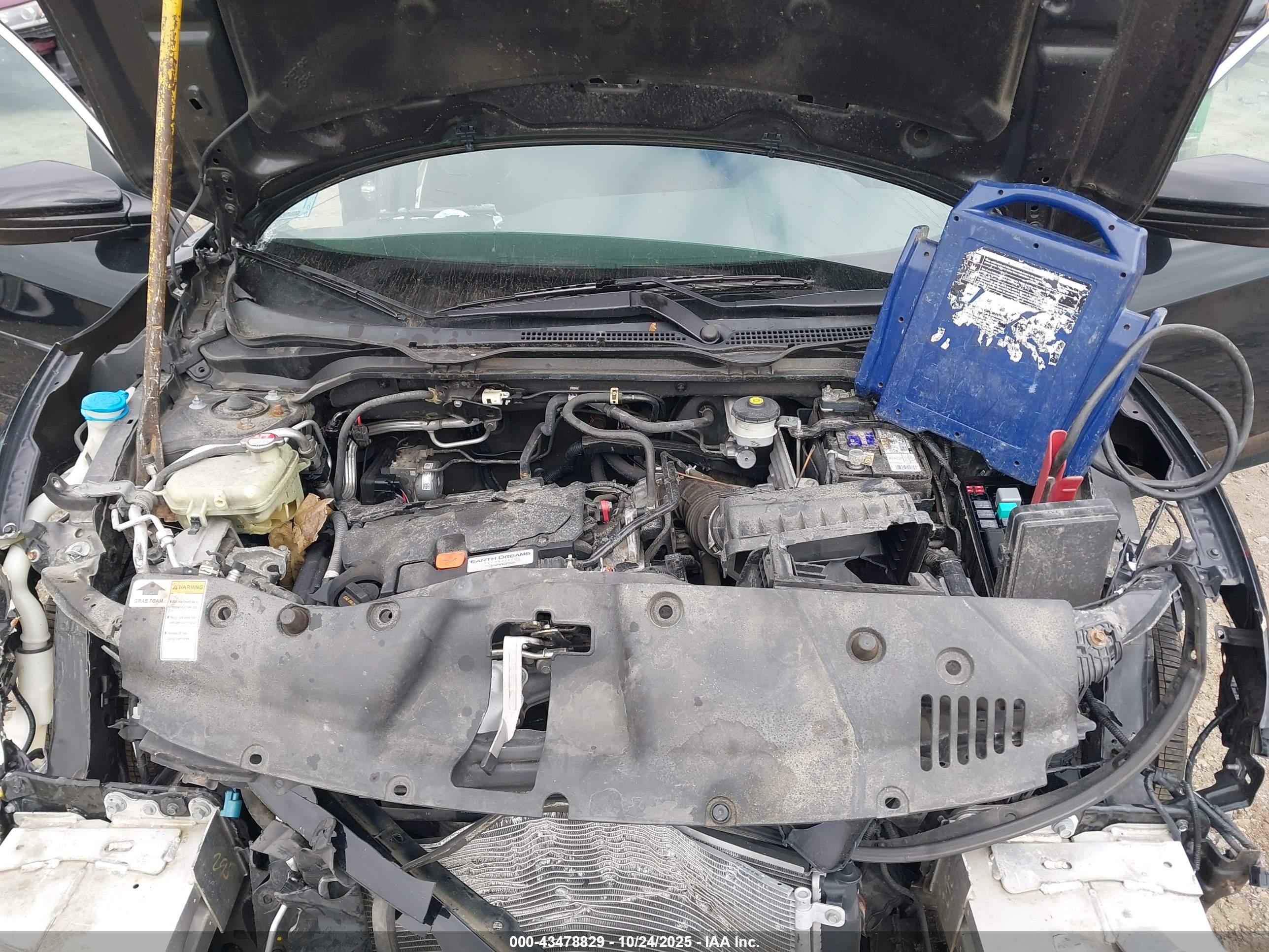 HONDA CIVIC image 10