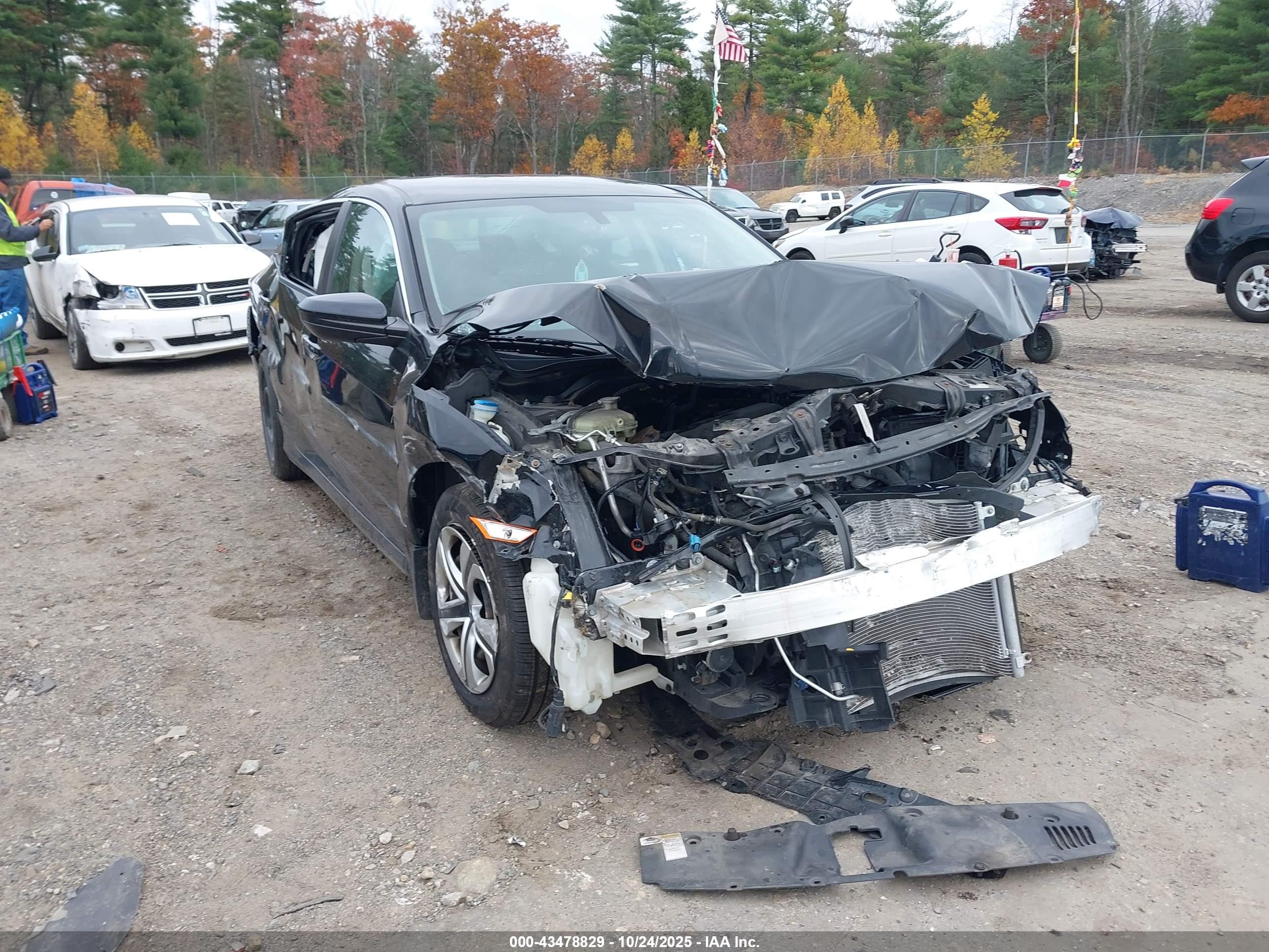 HONDA CIVIC image 6