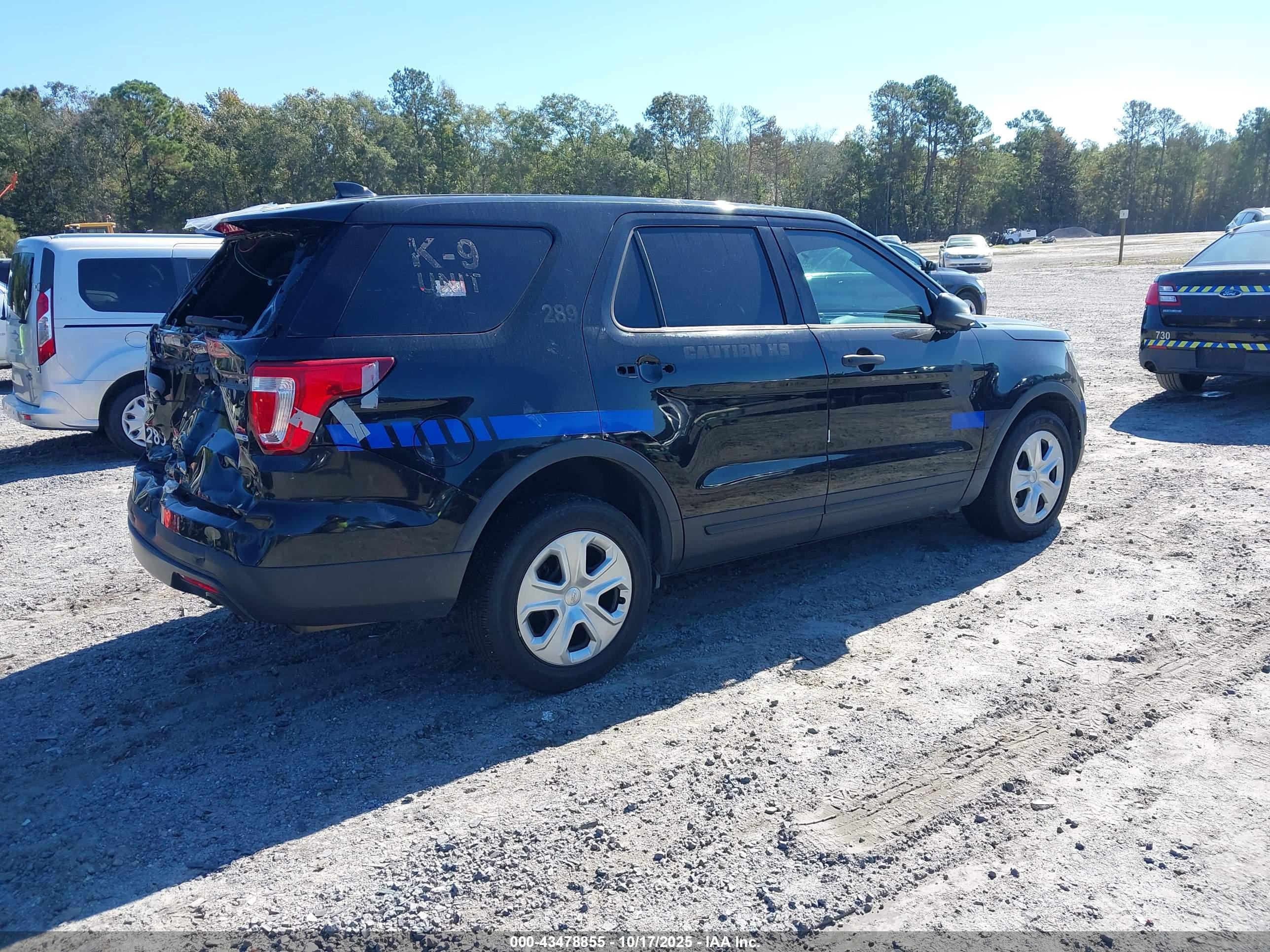 FORD UTILITY image 4
