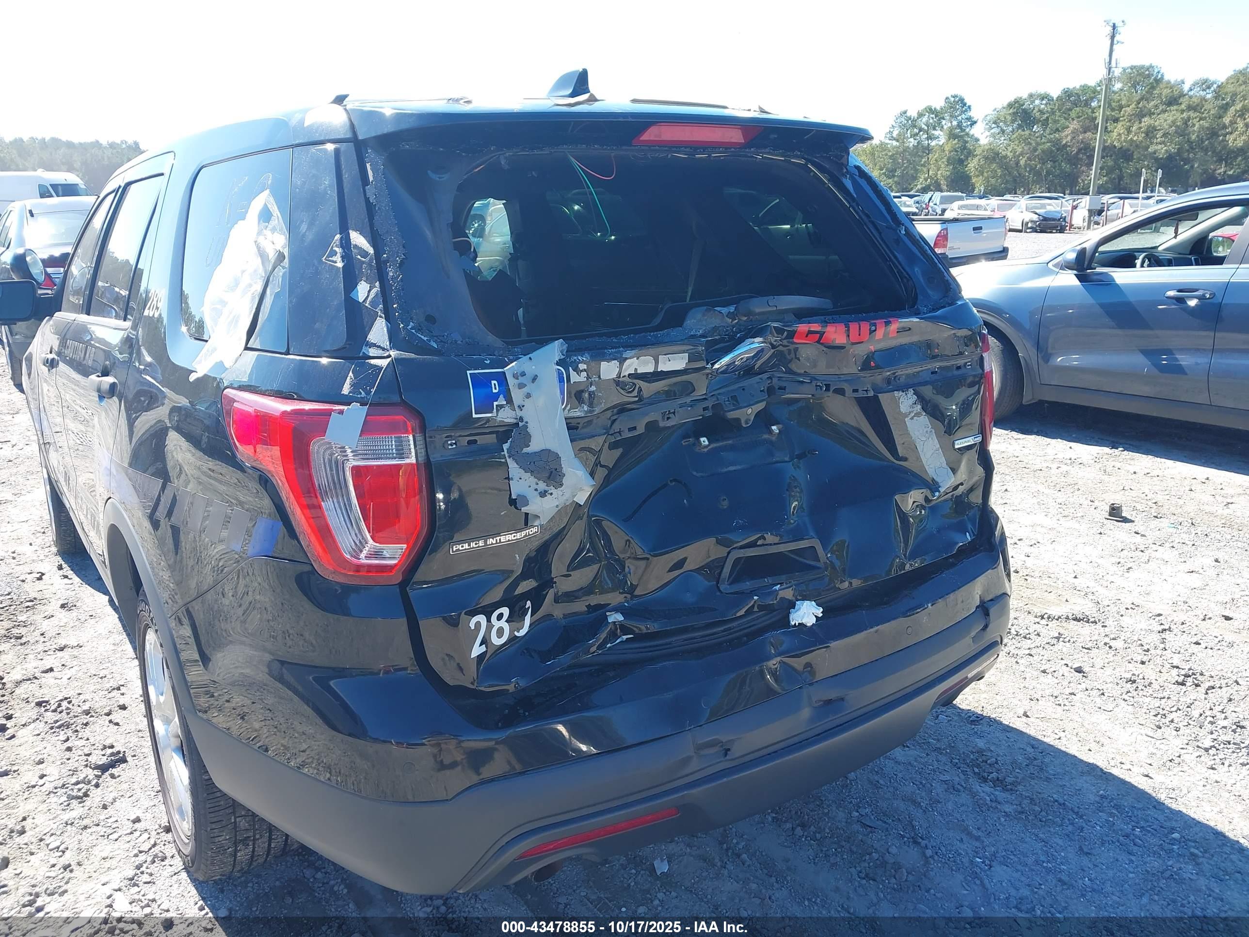 FORD UTILITY image 6
