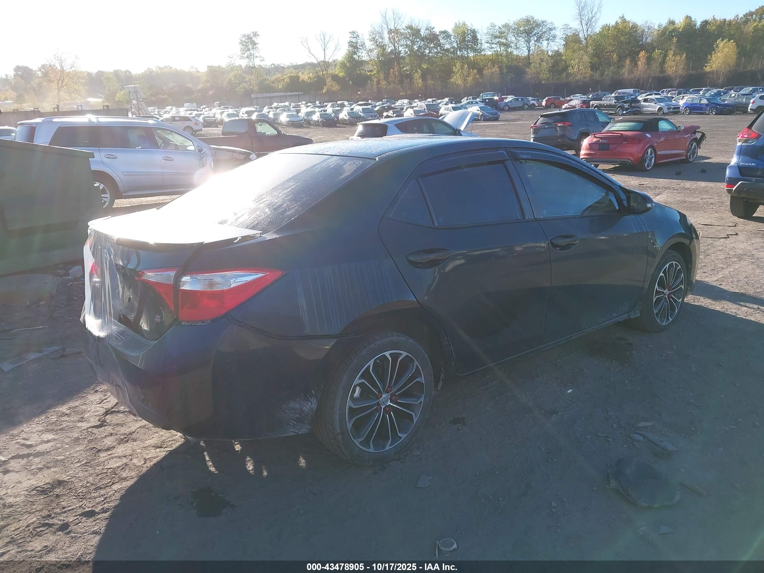 TOYOTA COROLLA image 4